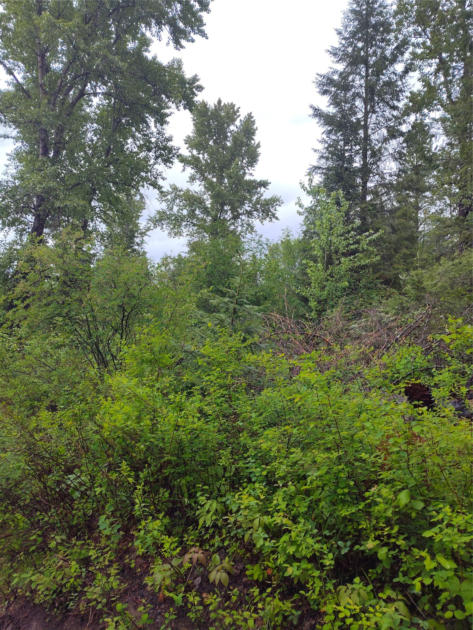 Lot 1C Big Timber Lane