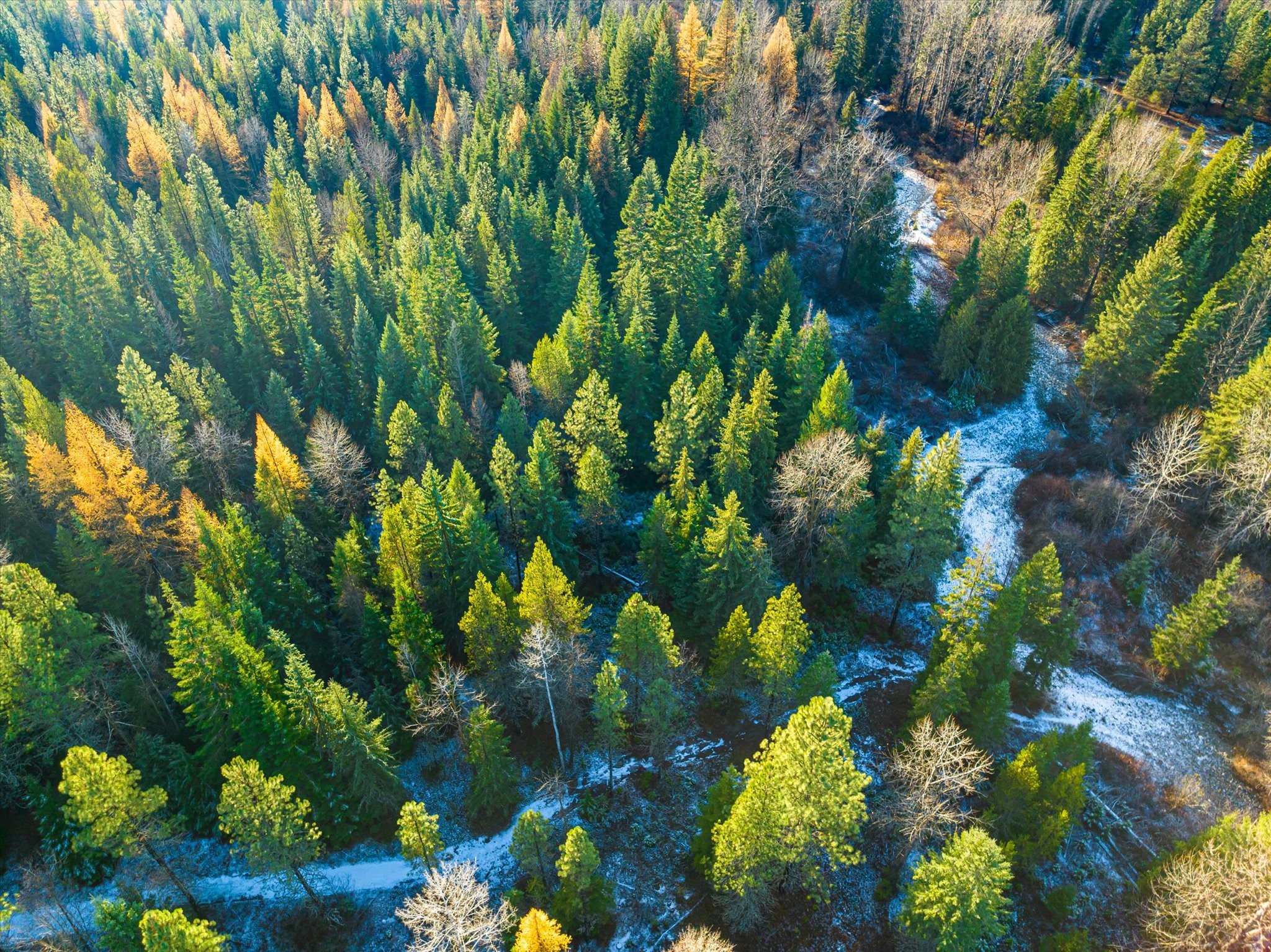 Lot 1C Big Timber Lane