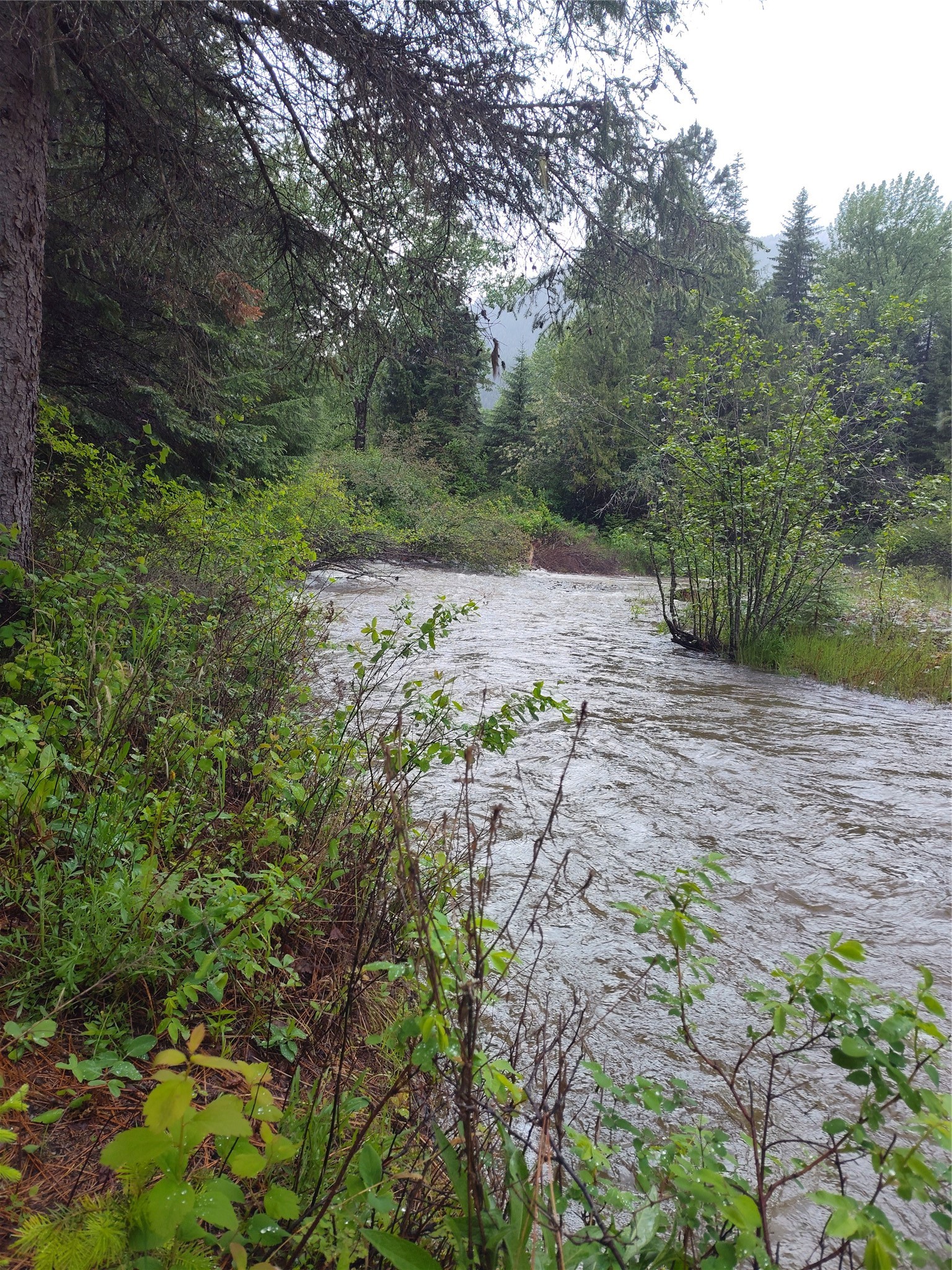 Lot 1C Big Timber Lane