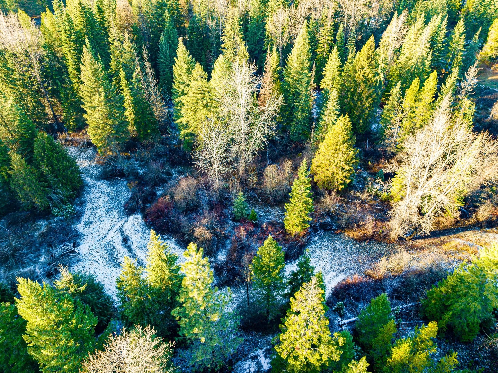 Lot 1C Big Timber Lane