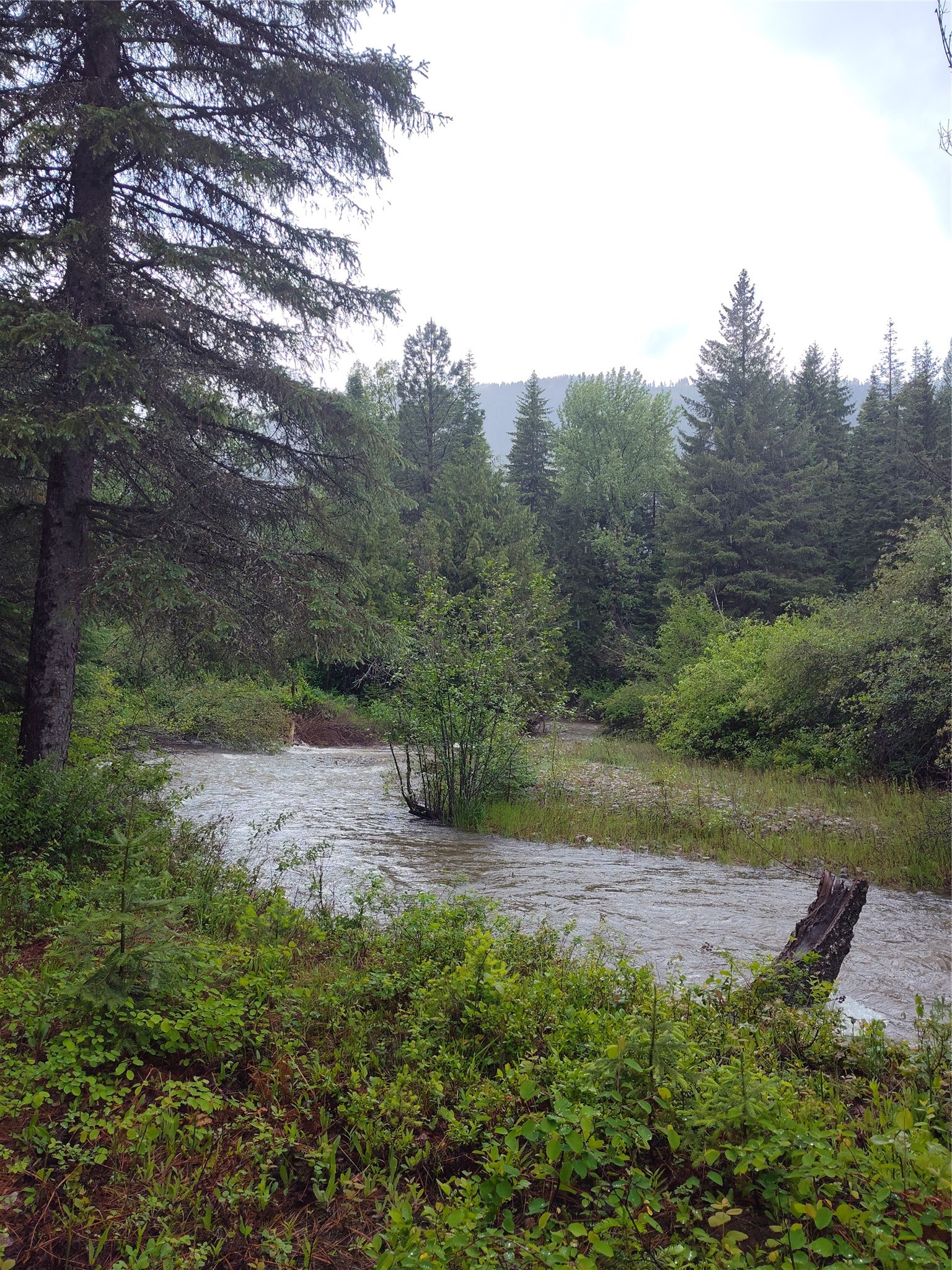 Lot 1C Big Timber Lane