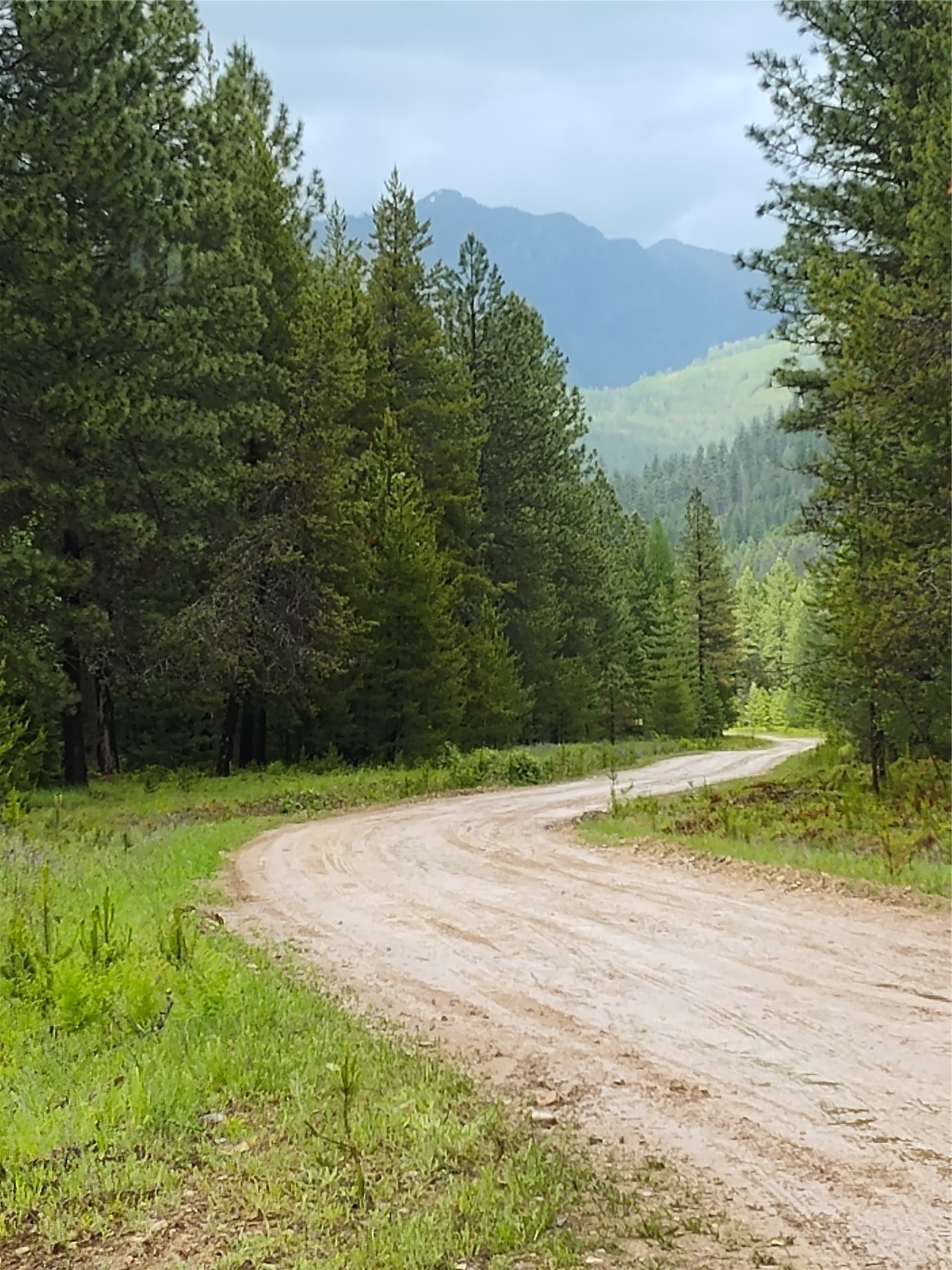 Lot 1C Big Timber Lane