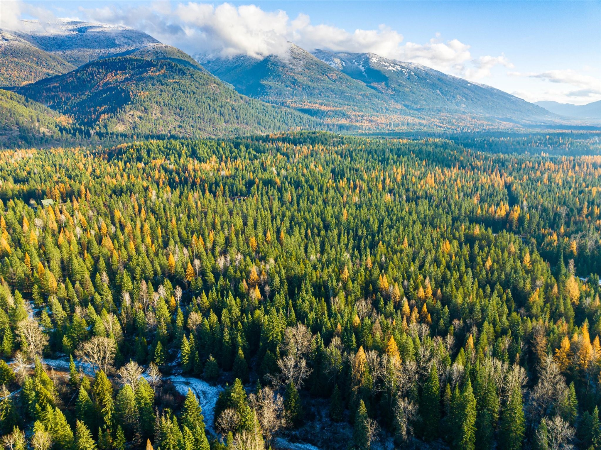 Lot 1C Big Timber Lane