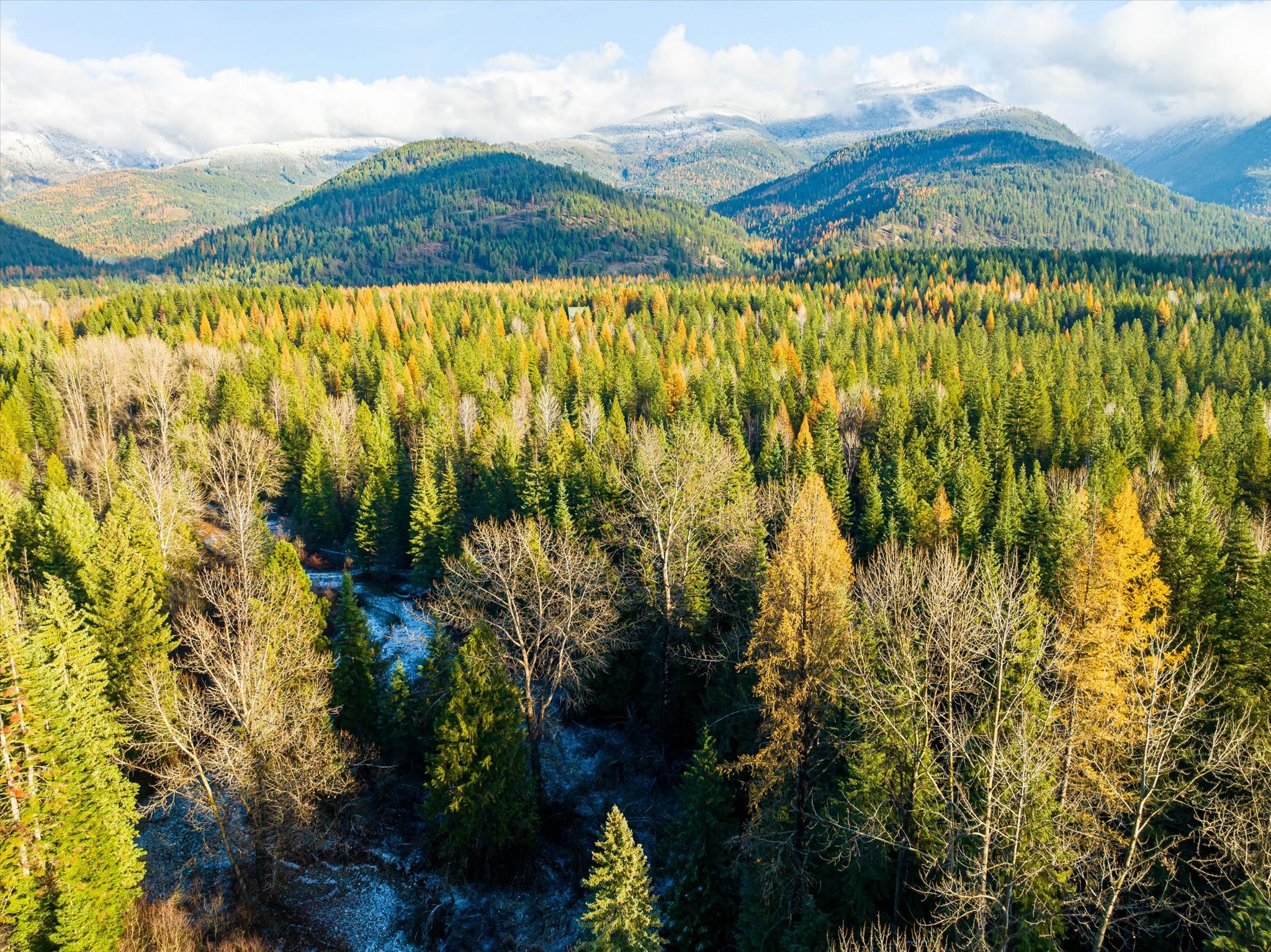 Lot 1C Big Timber Lane