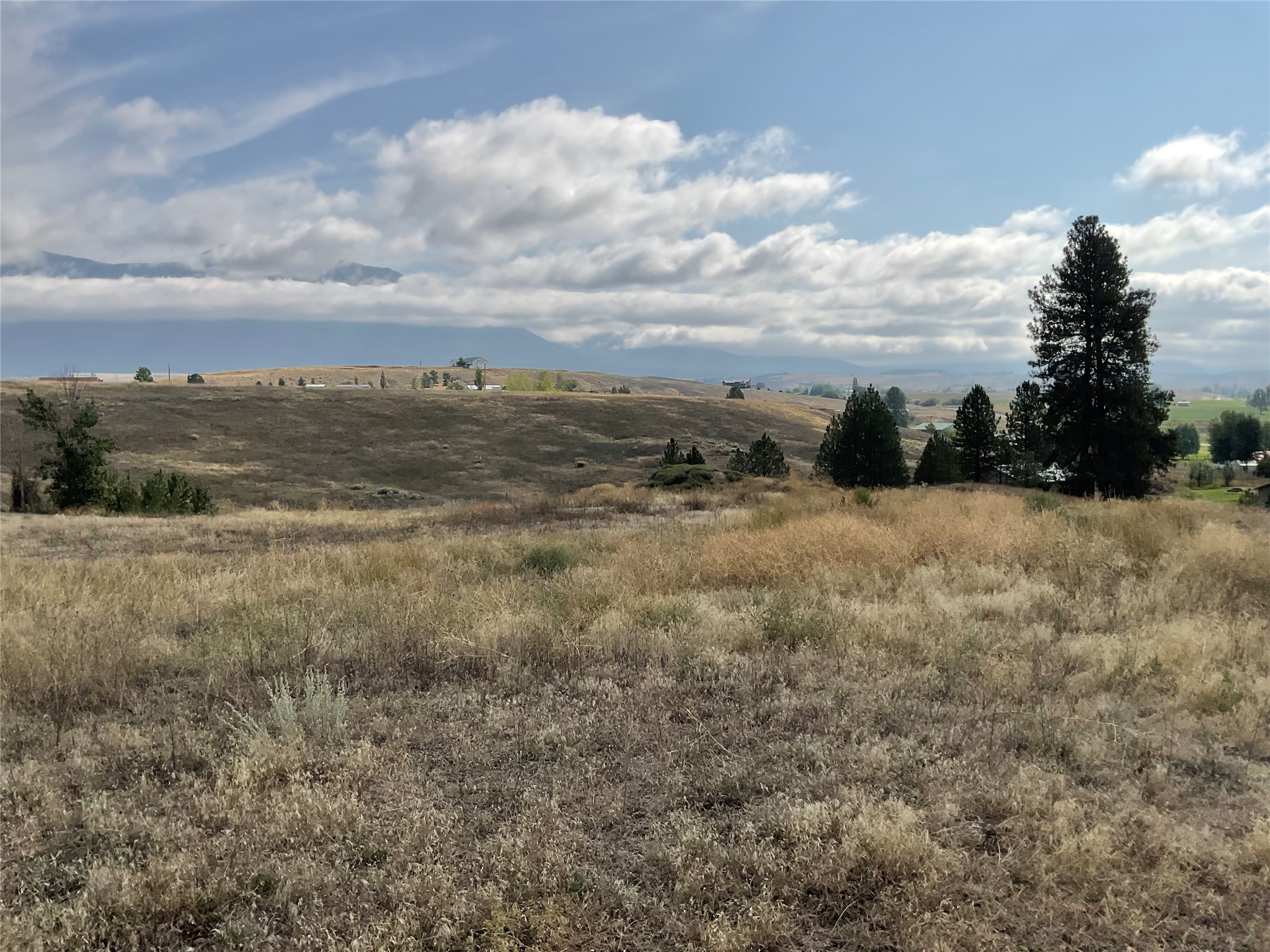 231 Nutting Drive Unit: Lot 1