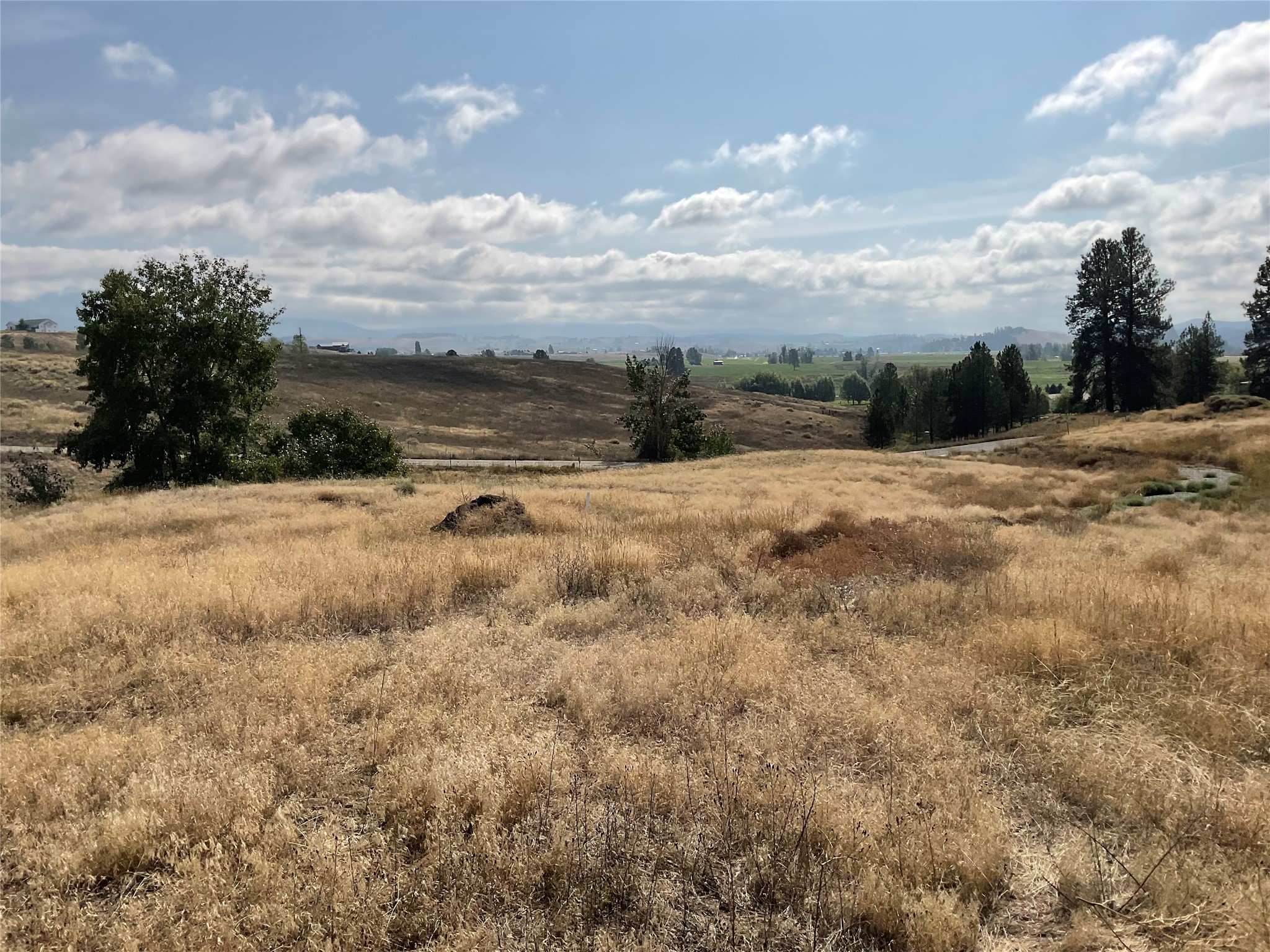 231 Nutting Drive Unit: Lot 1