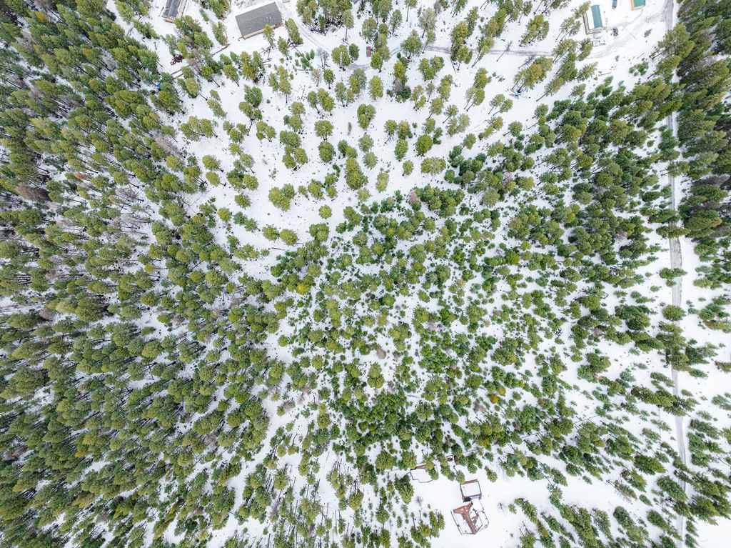 392 Whitetail Meadow Road