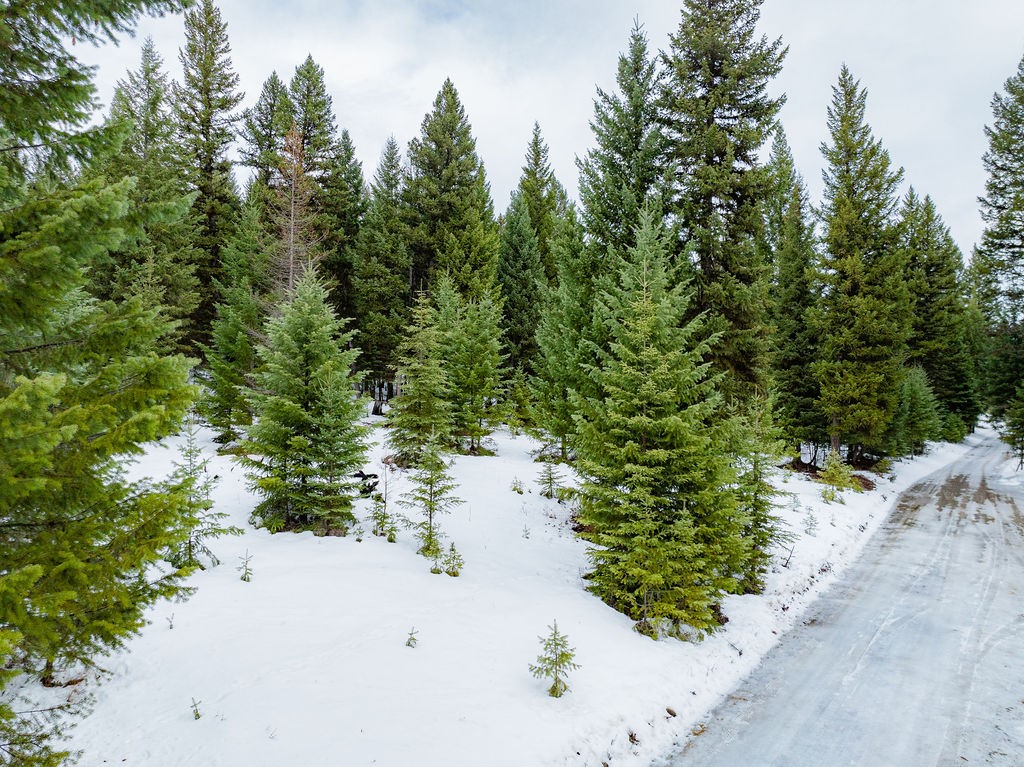 392 Whitetail Meadow Road