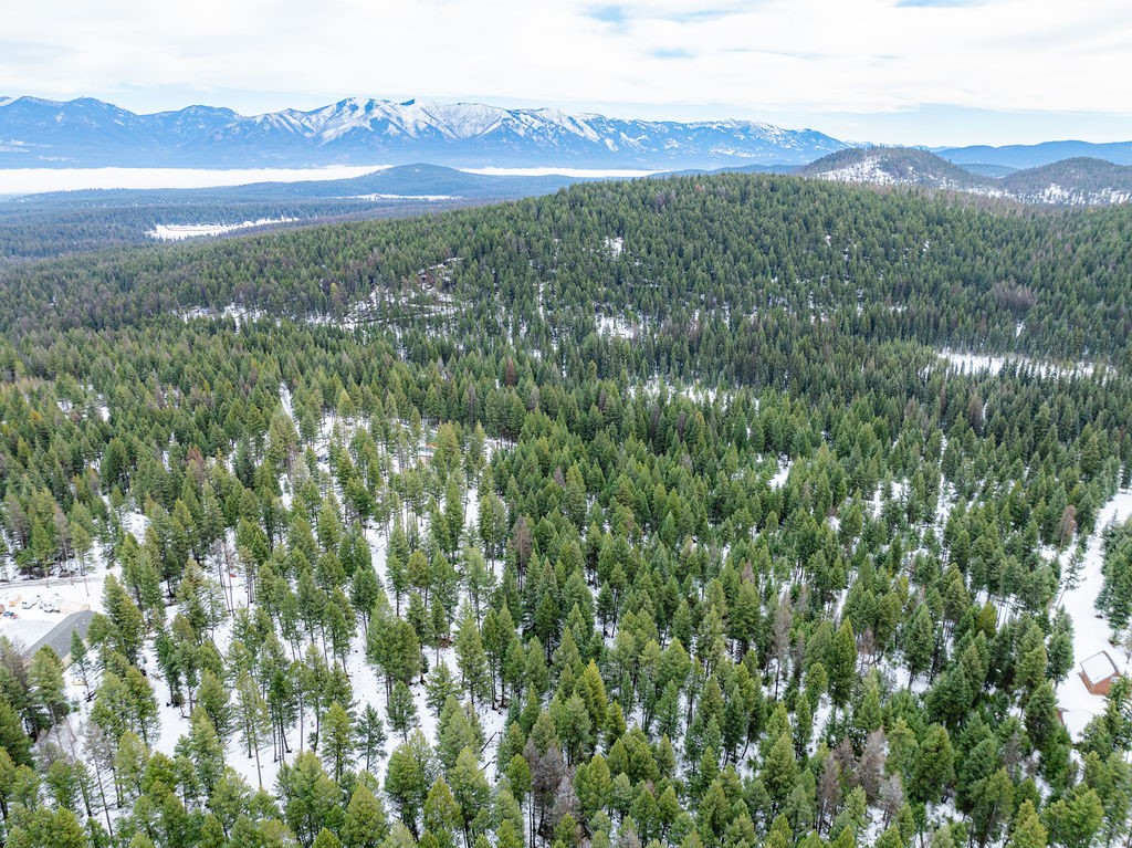 392 Whitetail Meadow Road