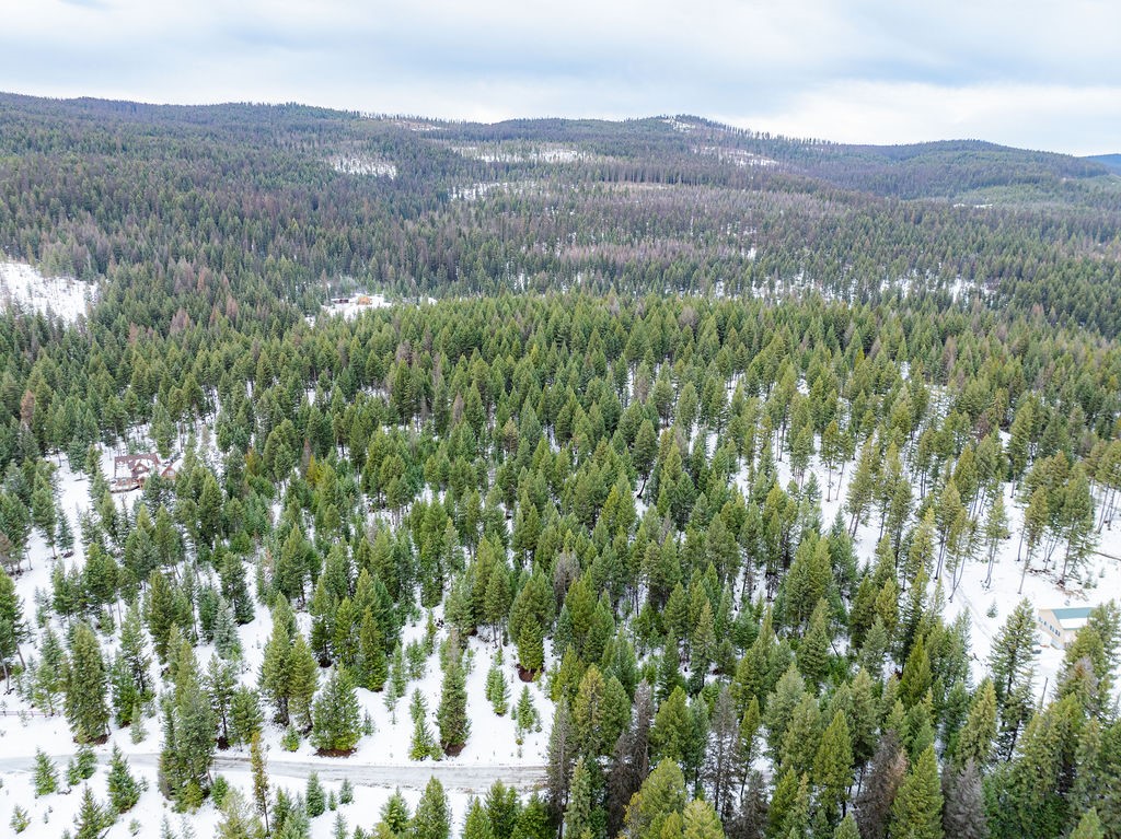 392 Whitetail Meadow Road