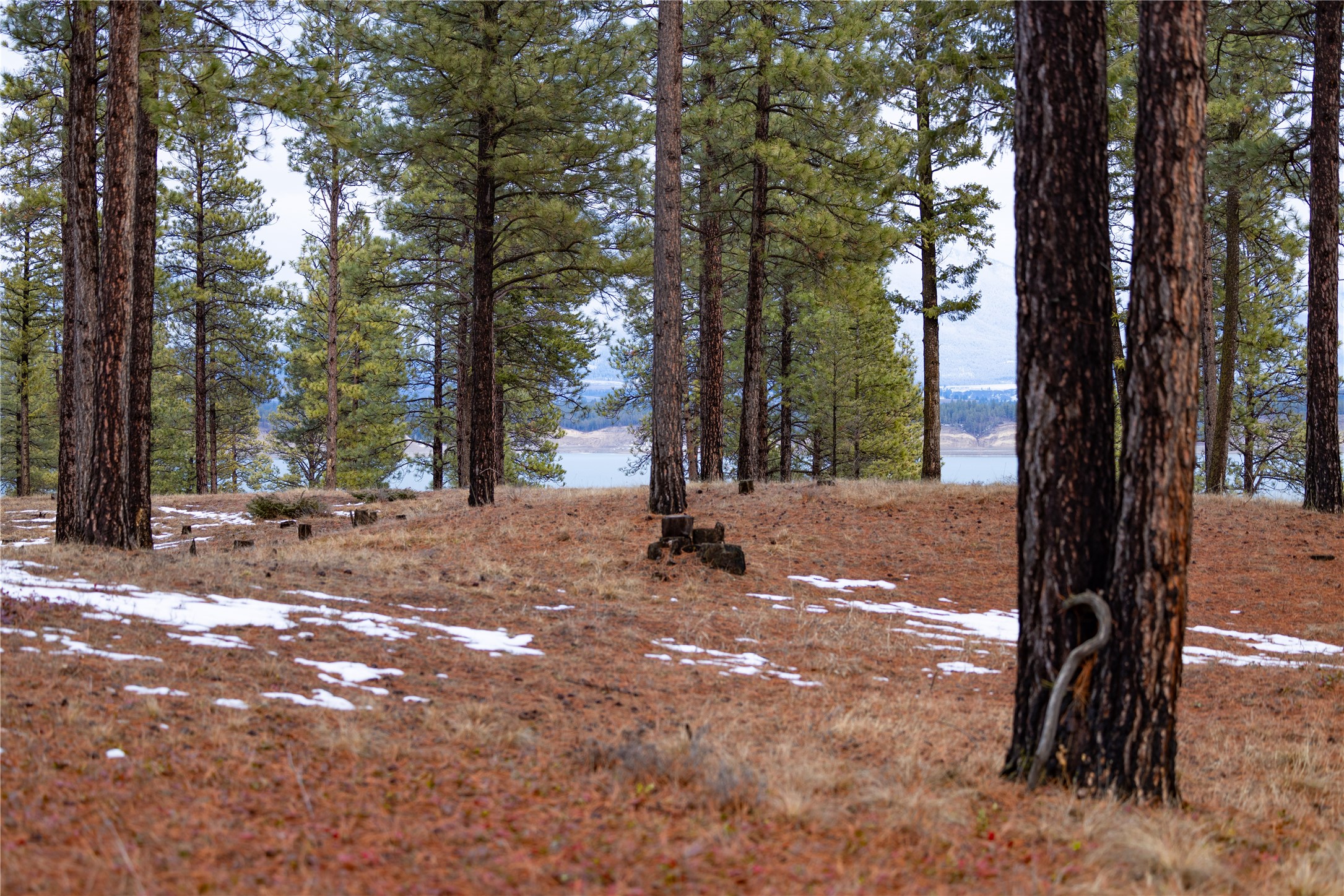 82 Old Truman Flats Road