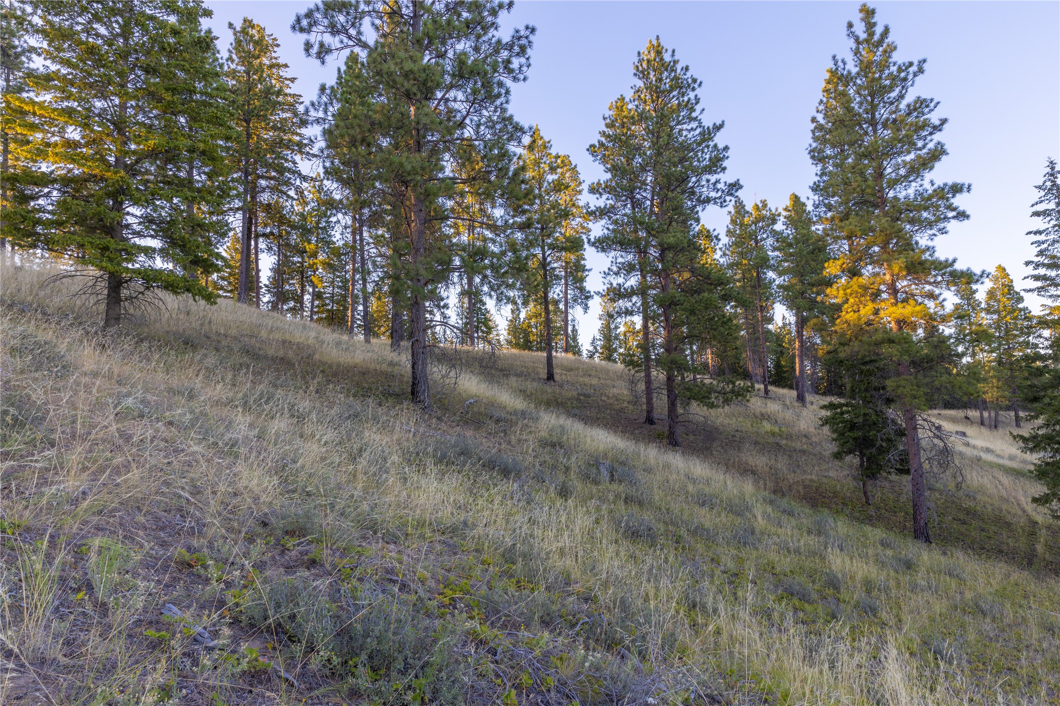 82 Old Truman Flats Road