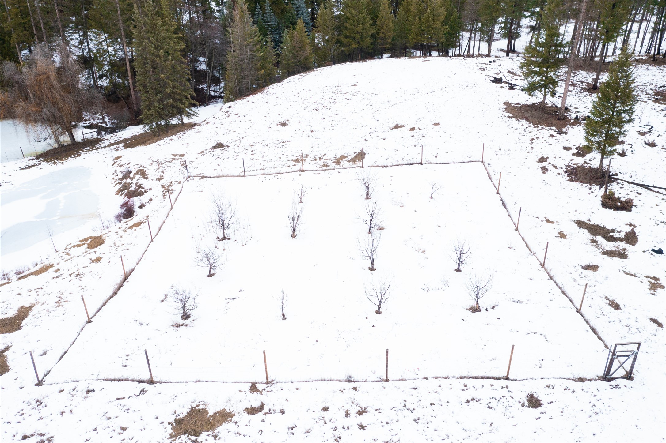 82 Old Truman Flats Road