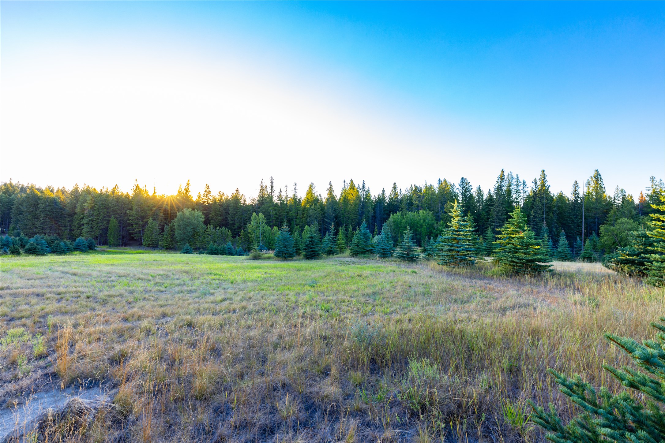 82 Old Truman Flats Road