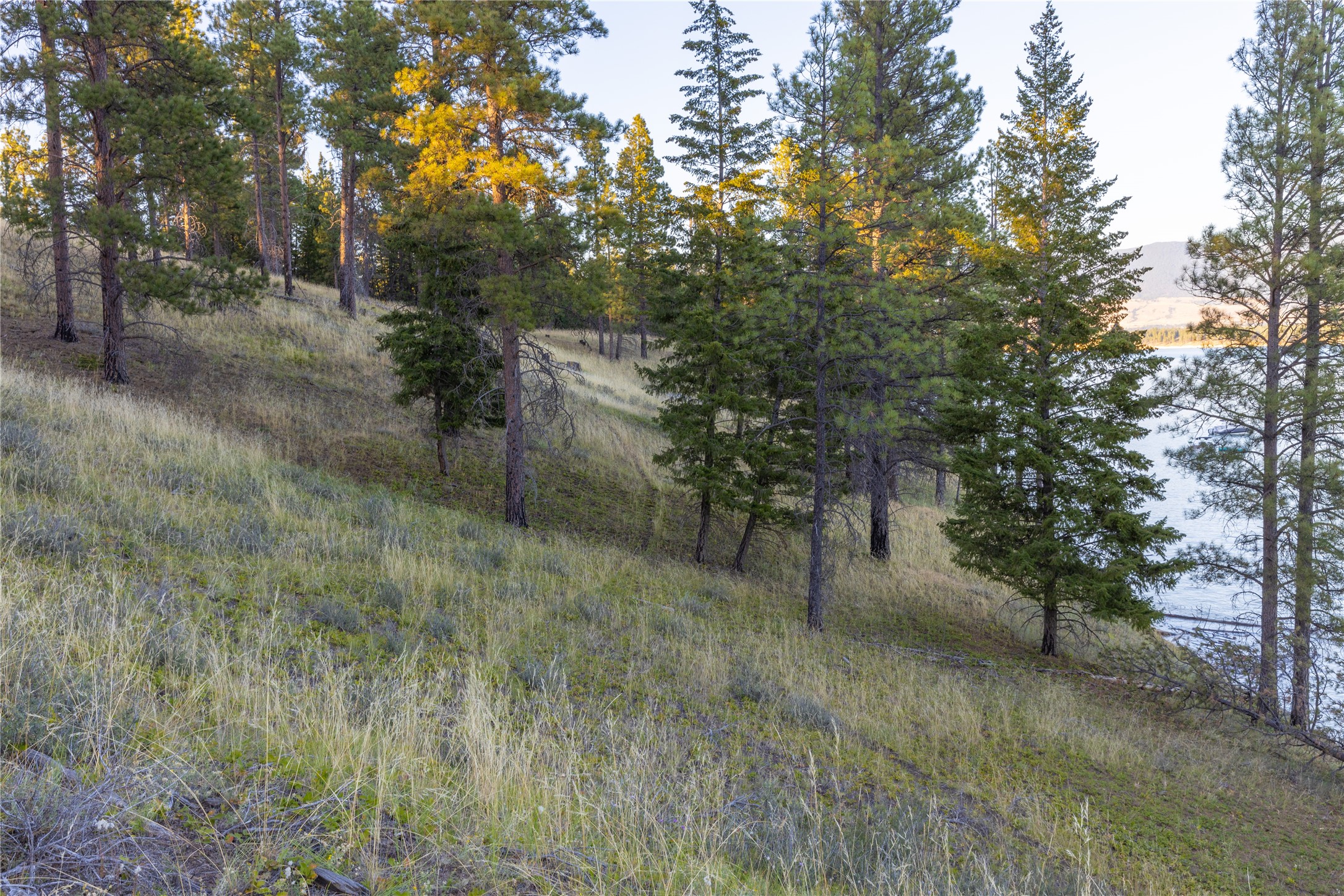 82 Old Truman Flats Road