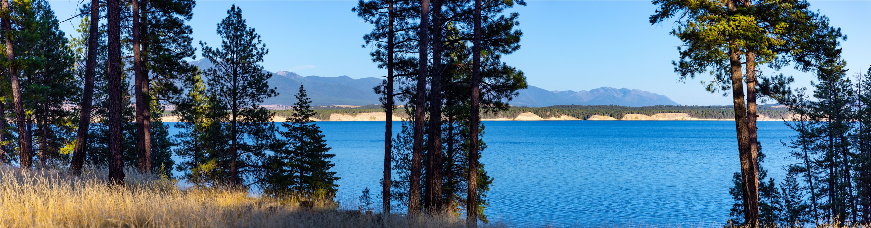 82 Old Truman Flats Road