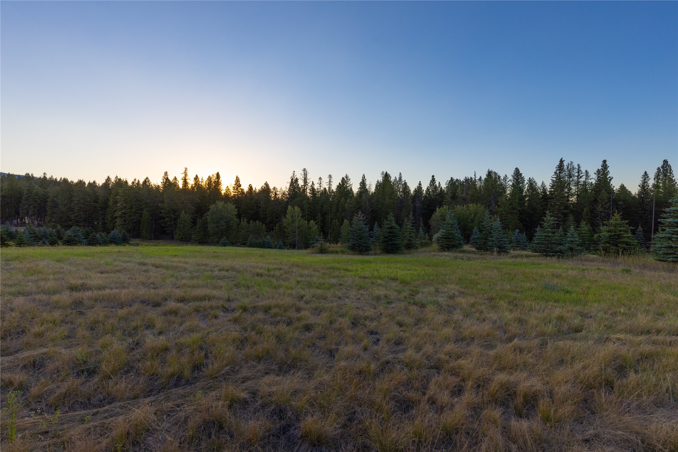 82 Old Truman Flats Road