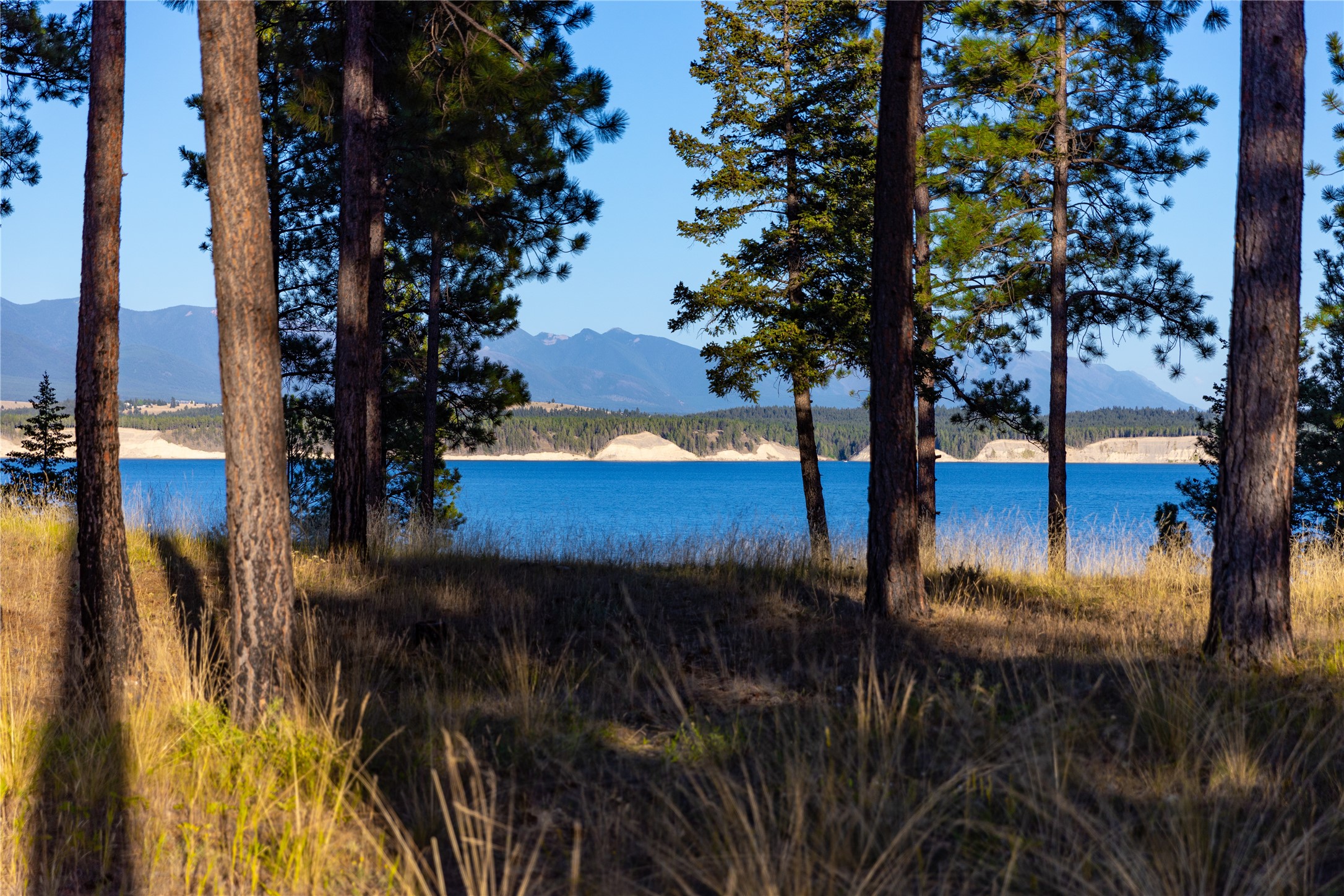 82 Old Truman Flats Road