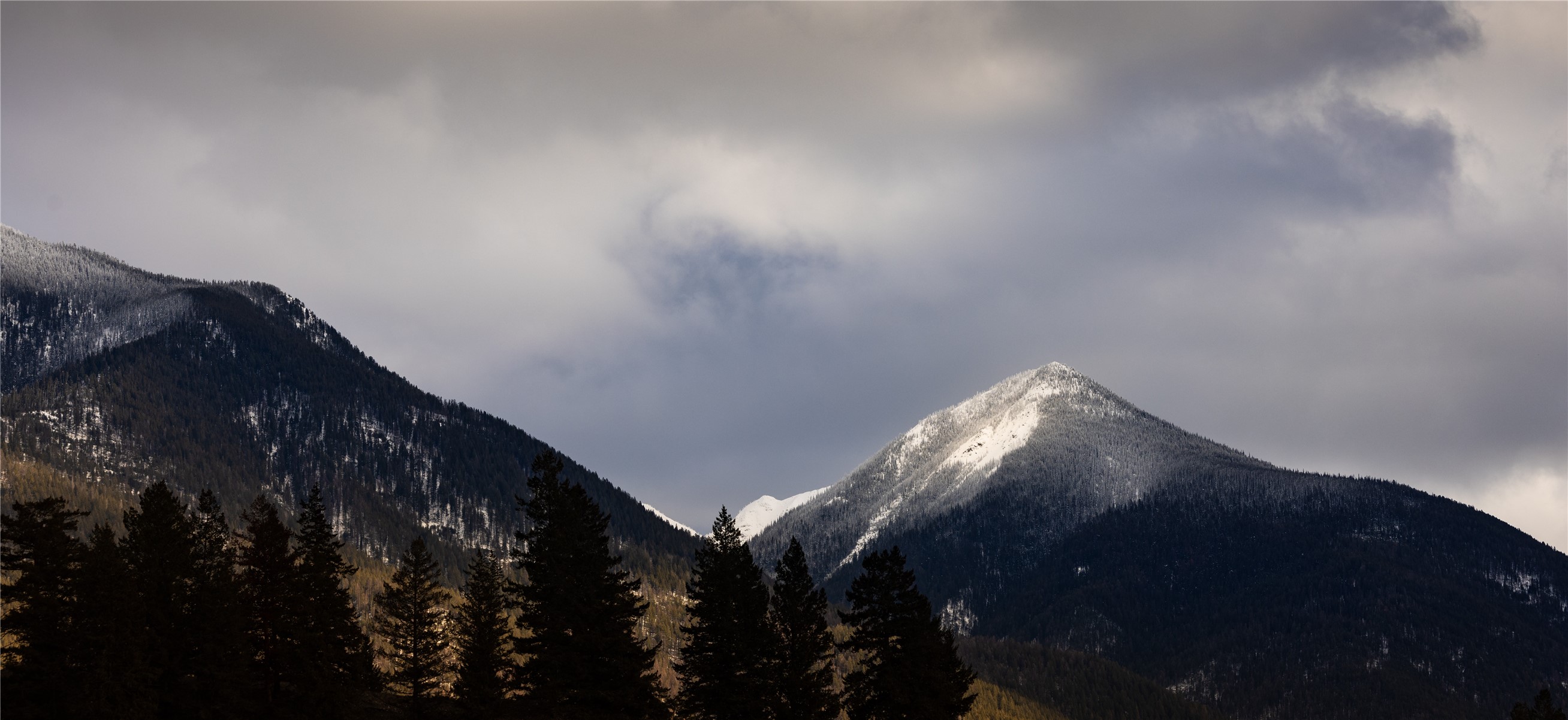 NHN Esker Lane Lot 5