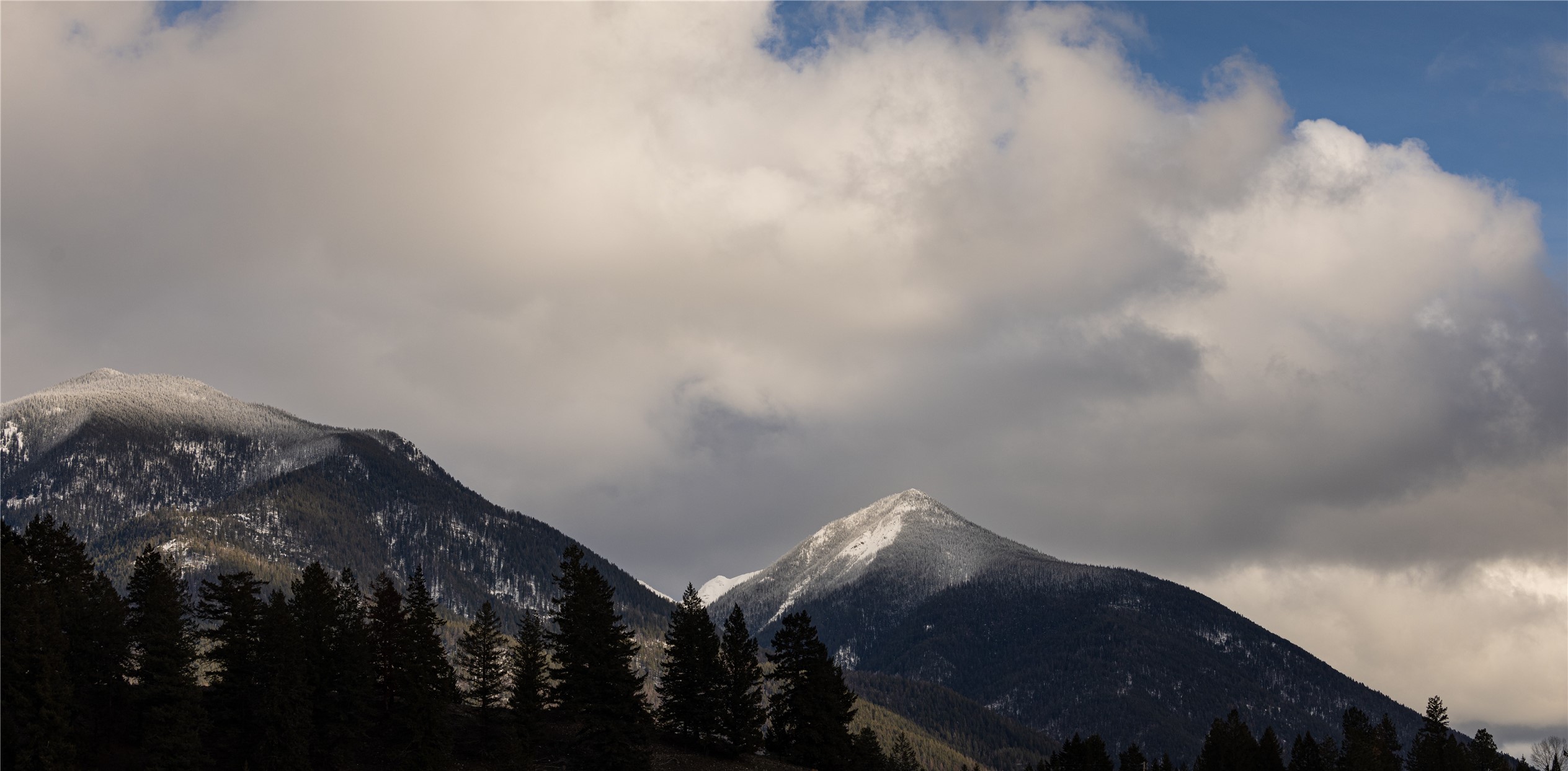 NHN Esker Lane Lot 5