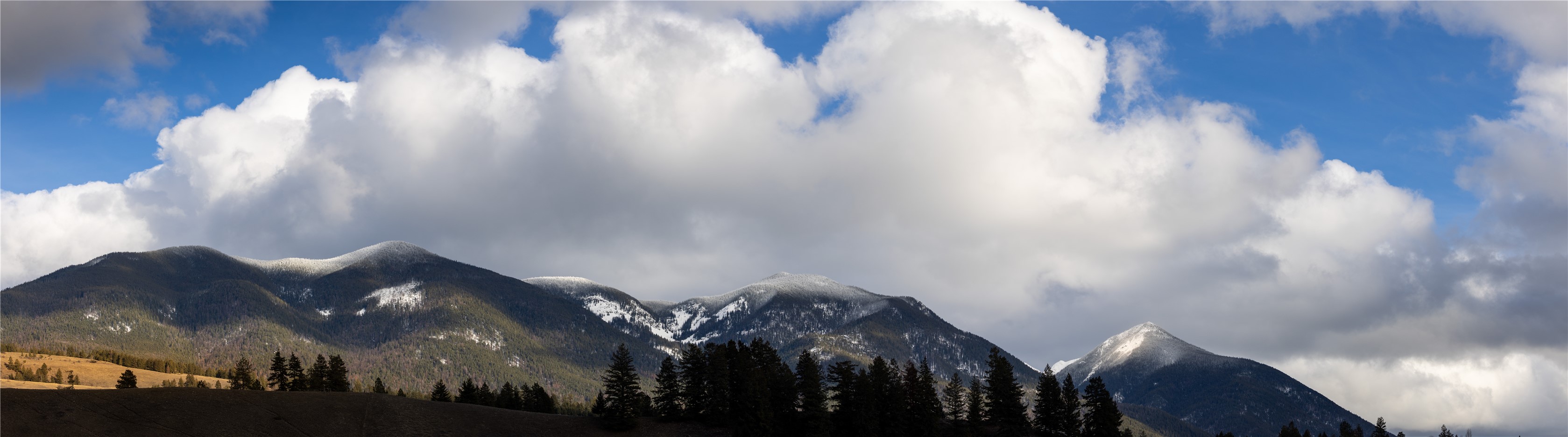 NHN Esker Lane Lot 5