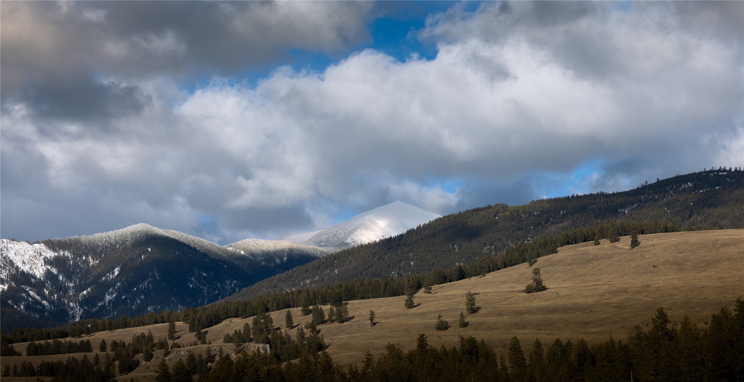 NHN Esker Lane Lot 5