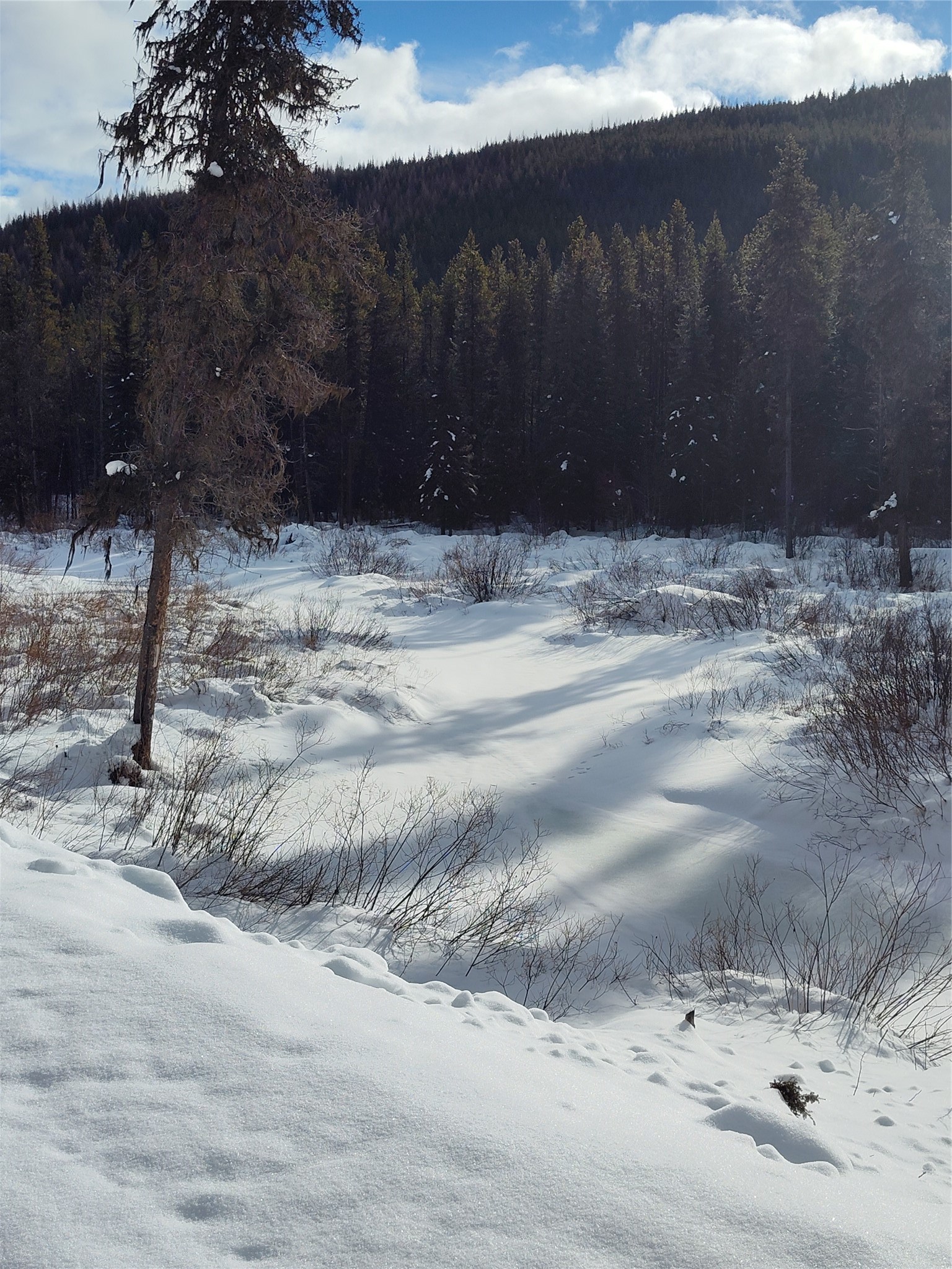 Lot 12 Good Creek Road