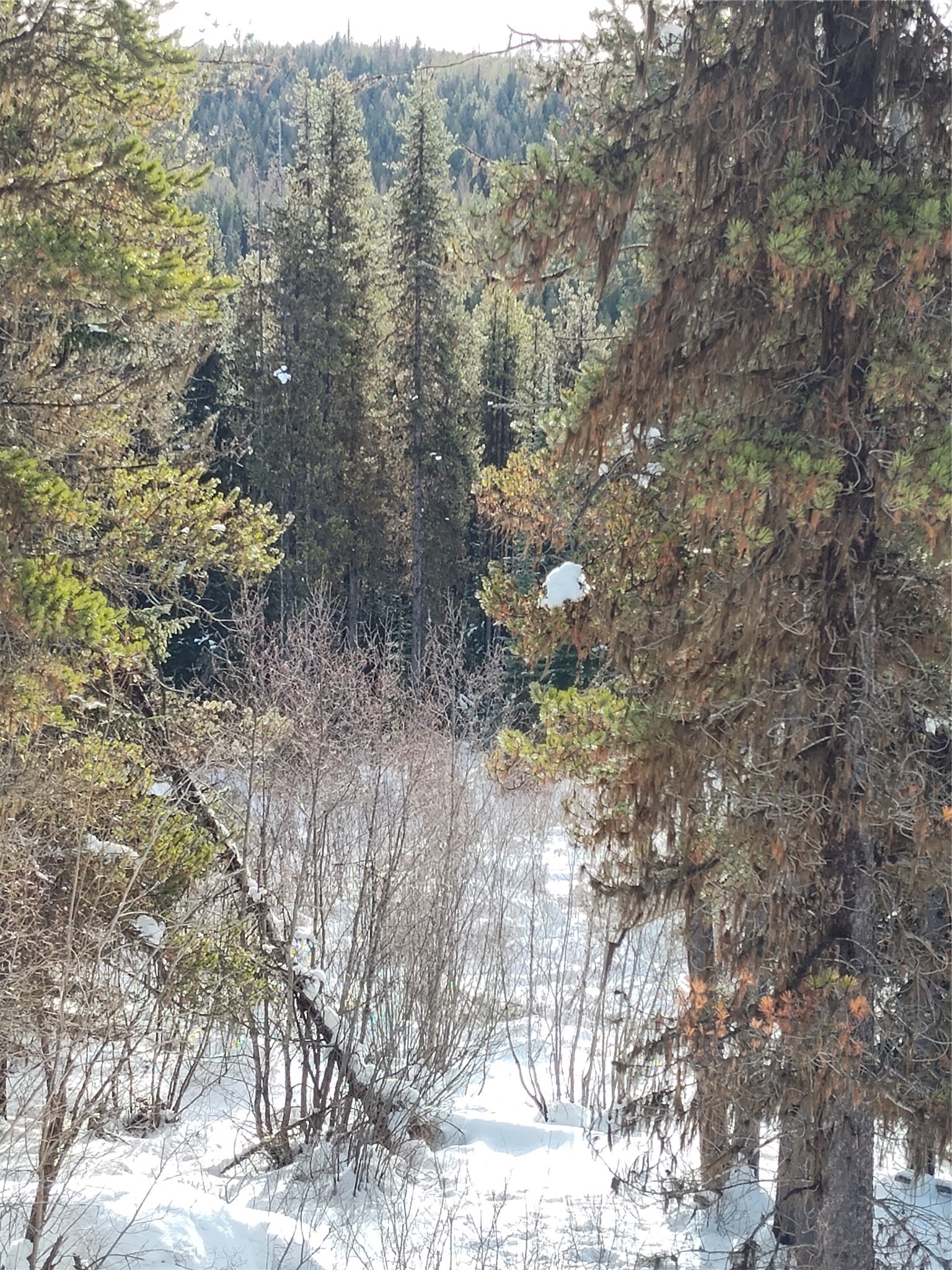 Lot 12 Good Creek Road