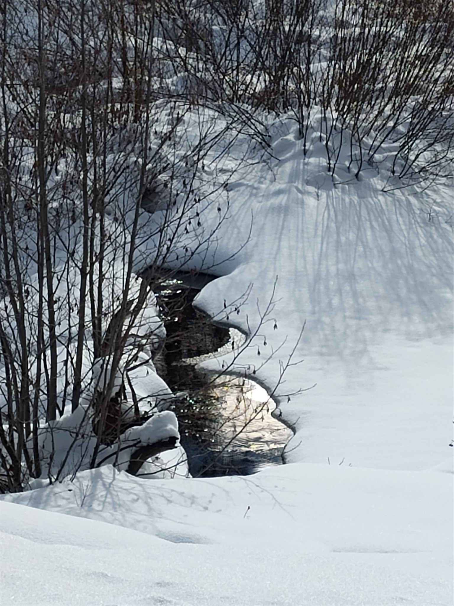 Lot 12 Good Creek Road