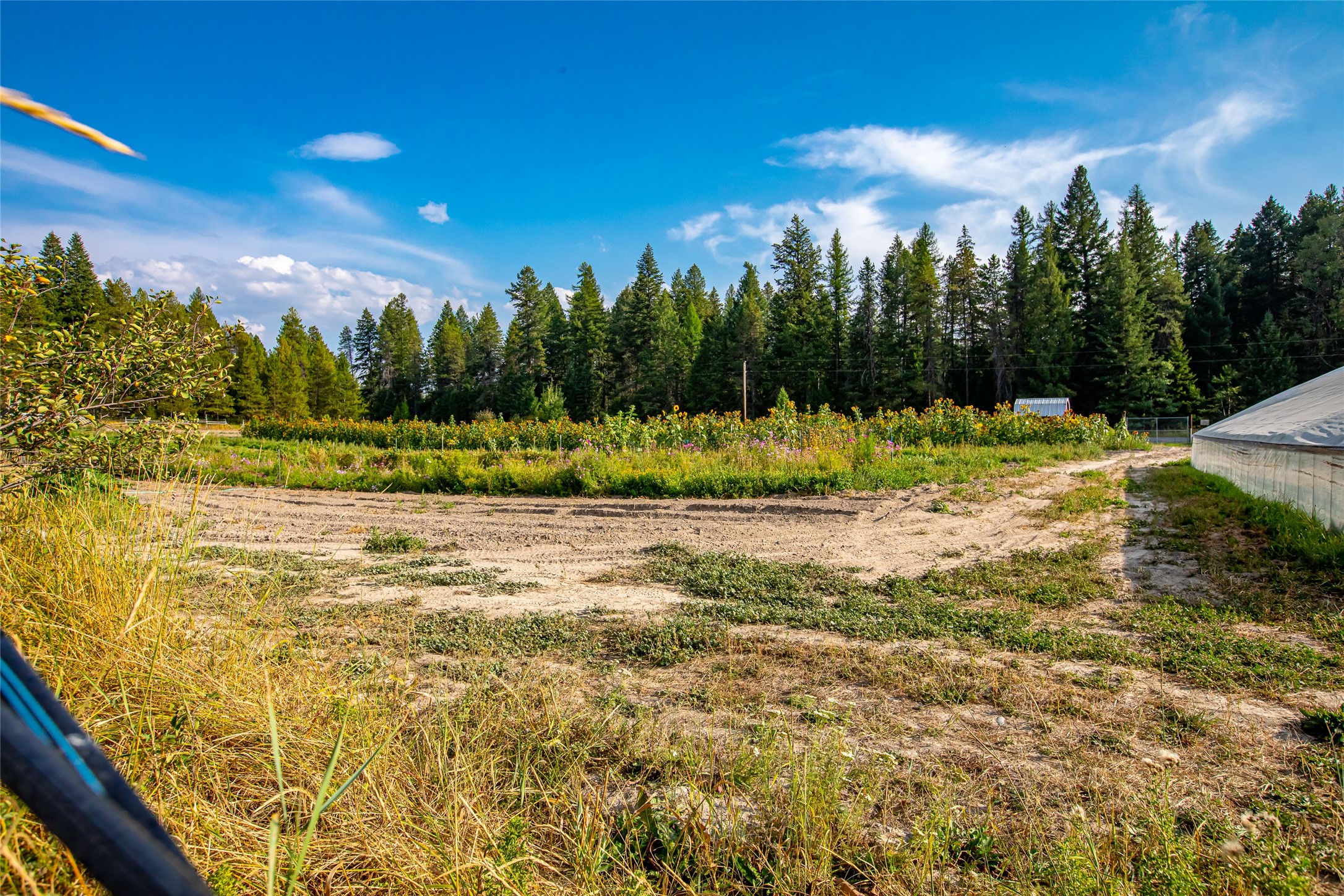 6585 Farm To Market Road