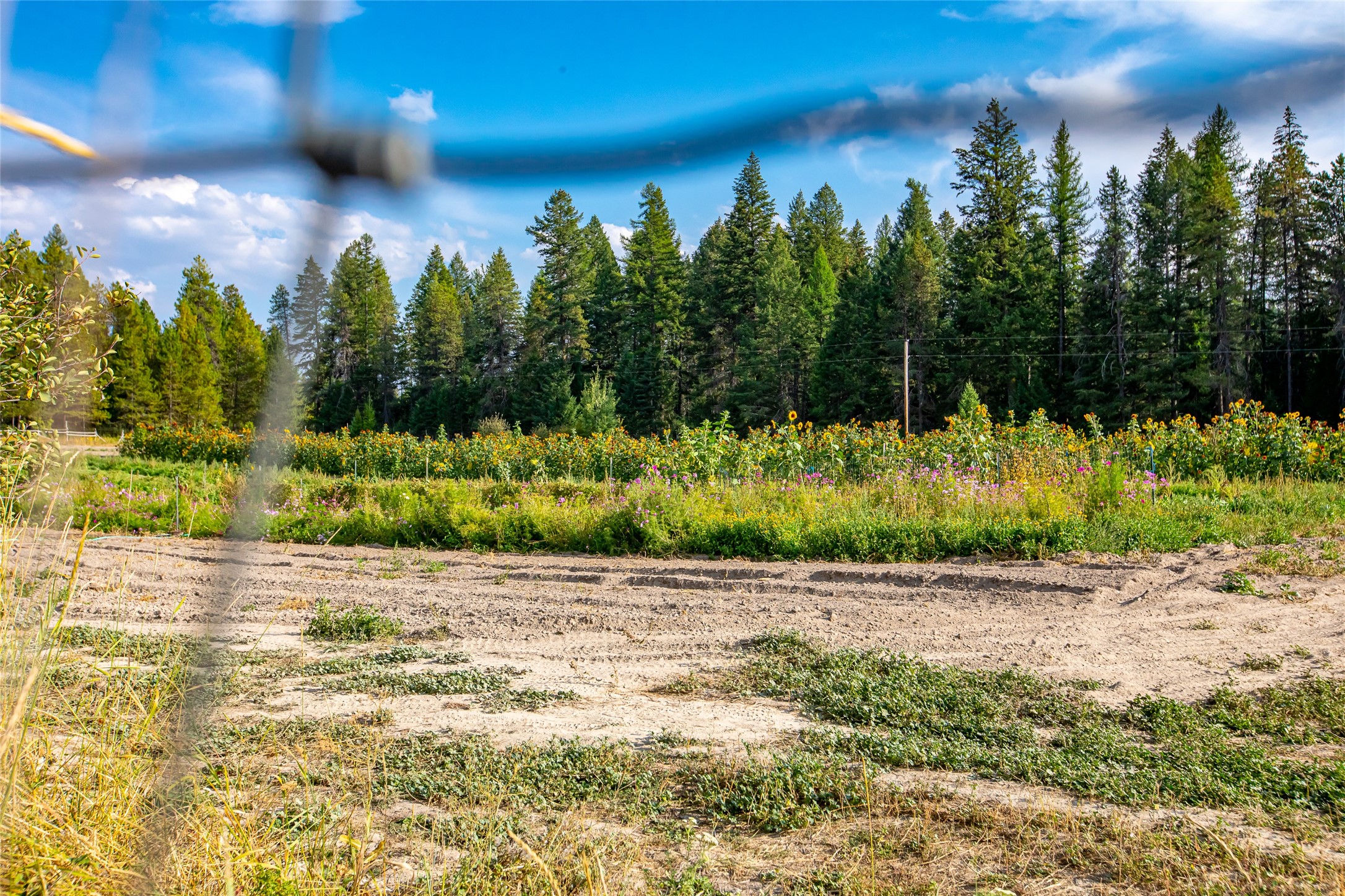 6585 Farm To Market Road