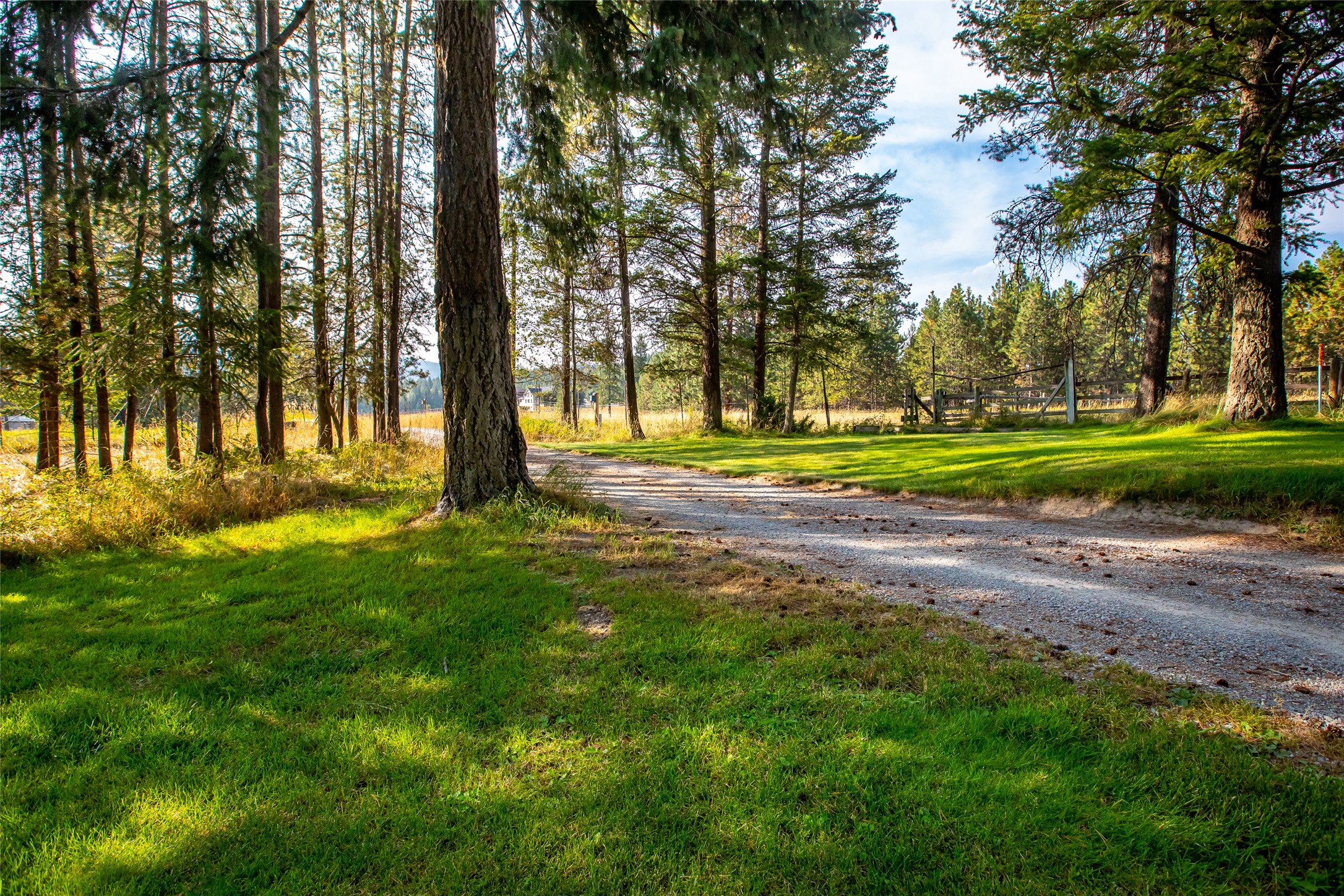 6585 Farm To Market Road