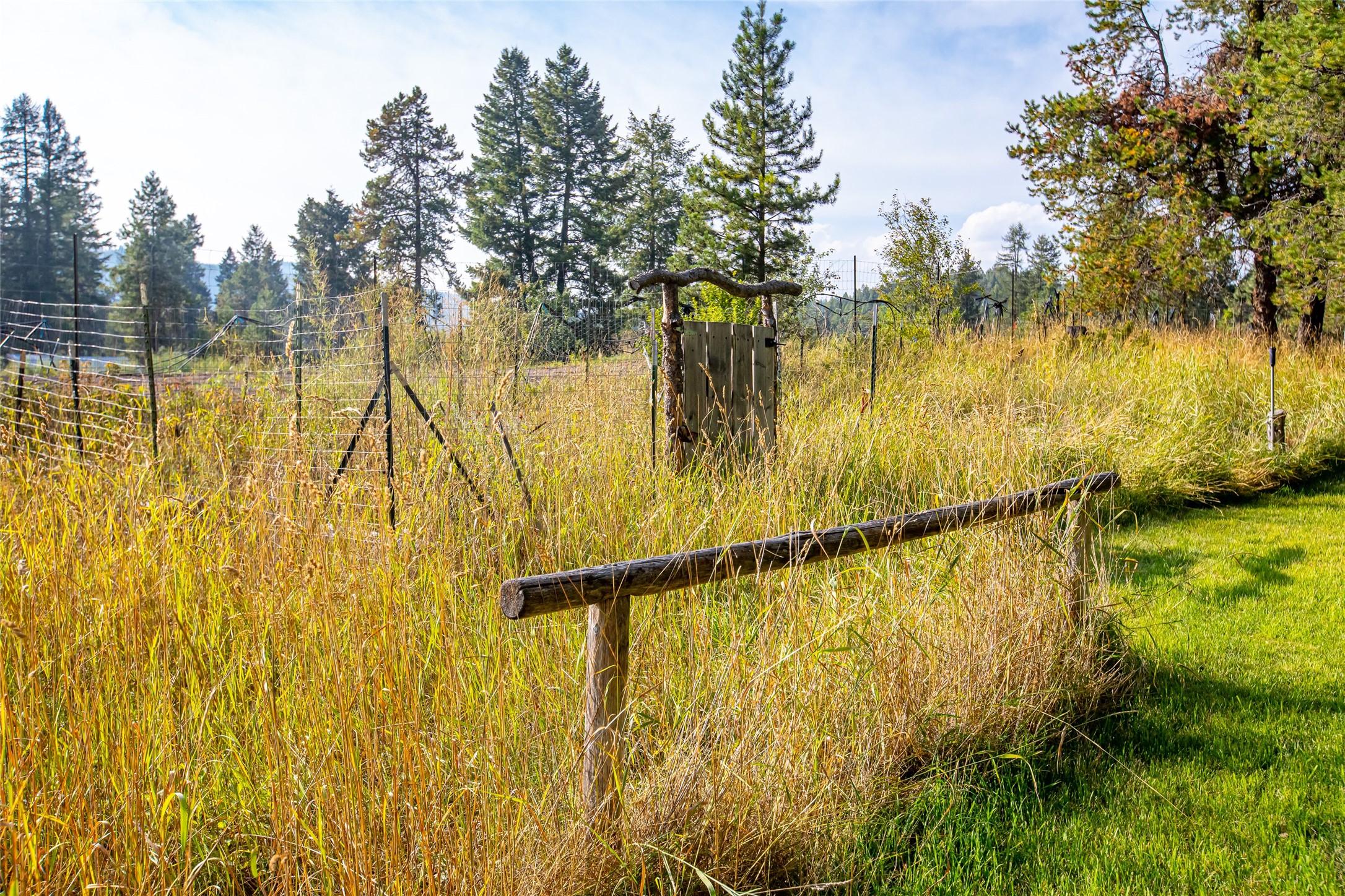 6585 Farm To Market Road