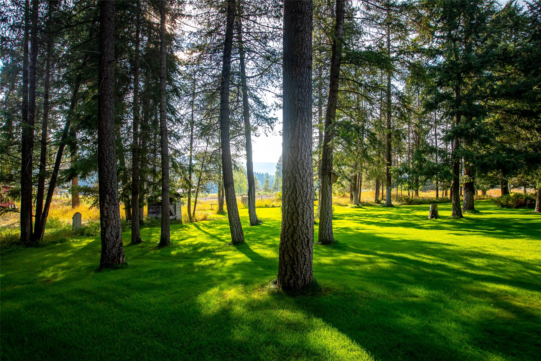 6585 Farm To Market Road