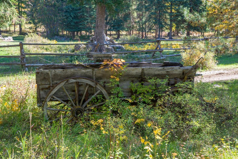 99 Sunrift Meadow Lane