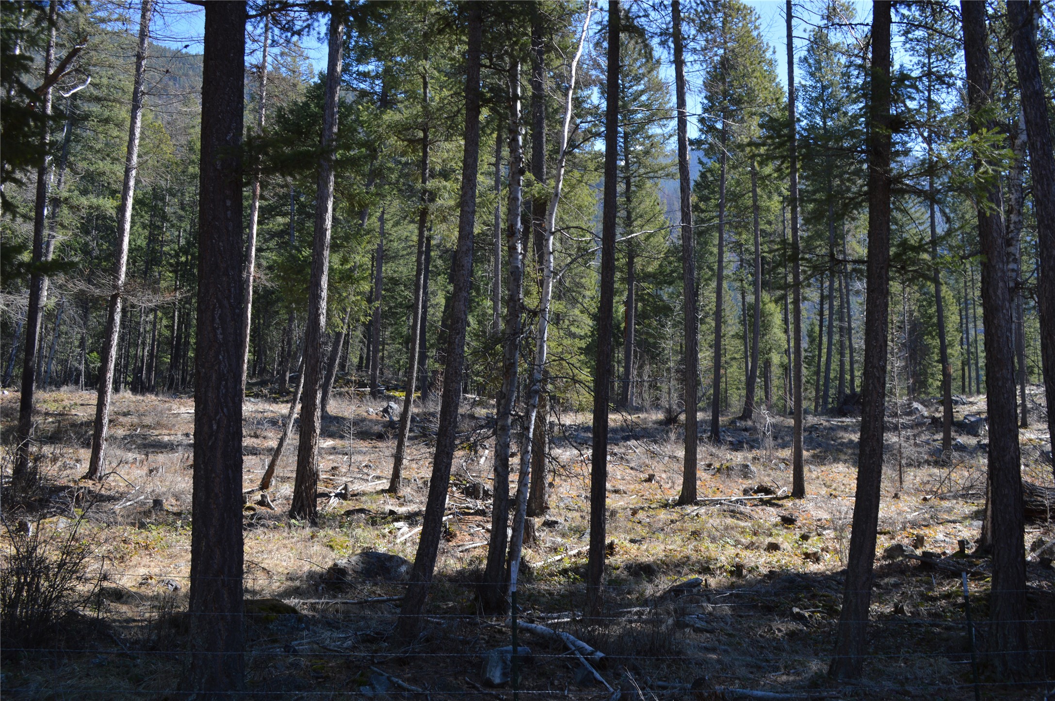 99 Sunrift Meadow Lane