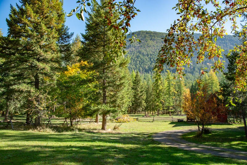 99 Sunrift Meadow Lane