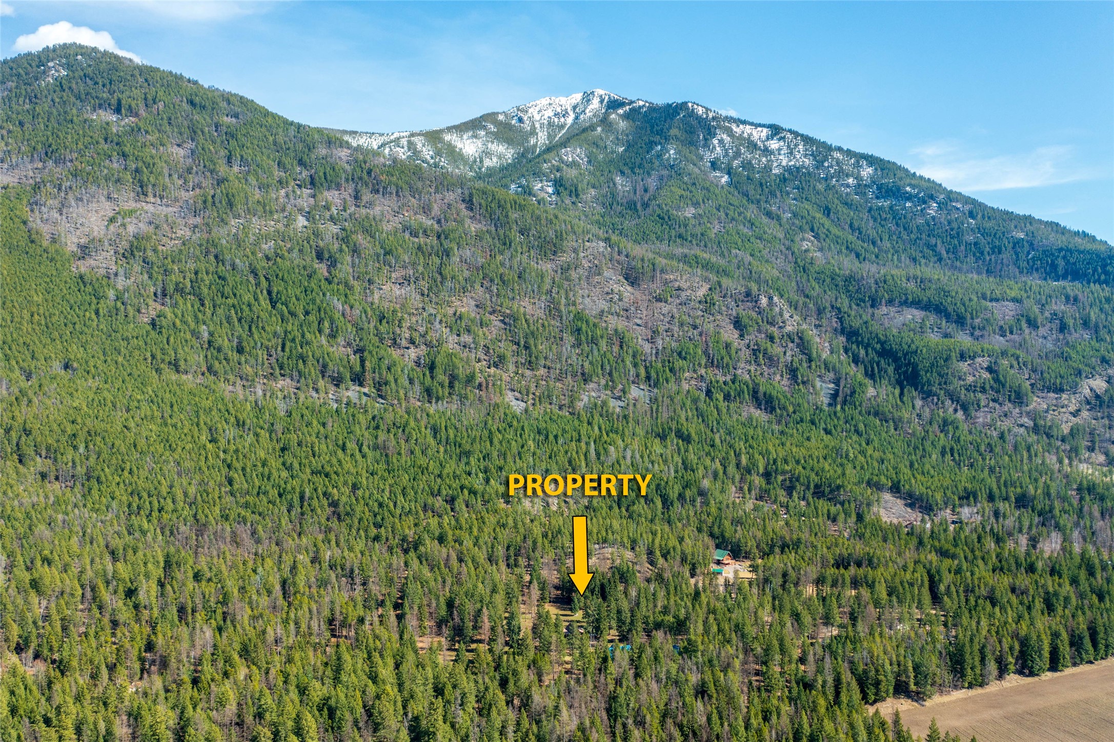 99 Sunrift Meadow Lane