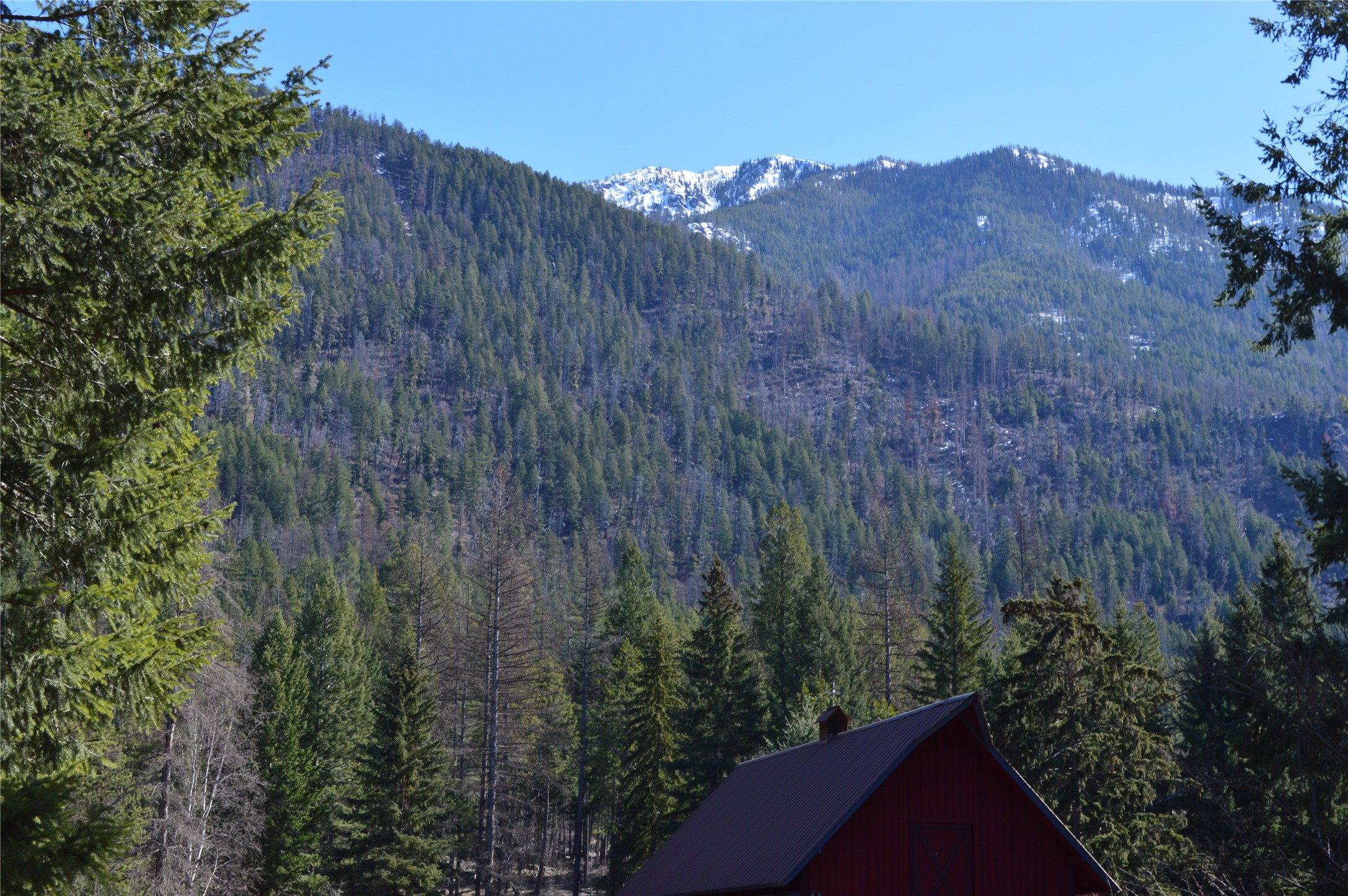 99 Sunrift Meadow Lane