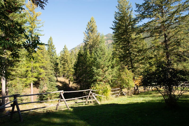 99 Sunrift Meadow Lane