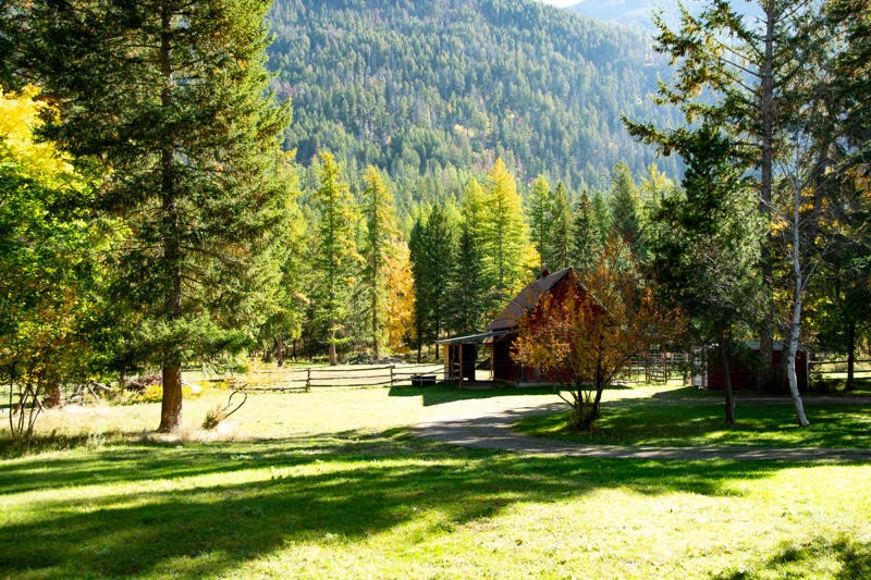 99 Sunrift Meadow Lane