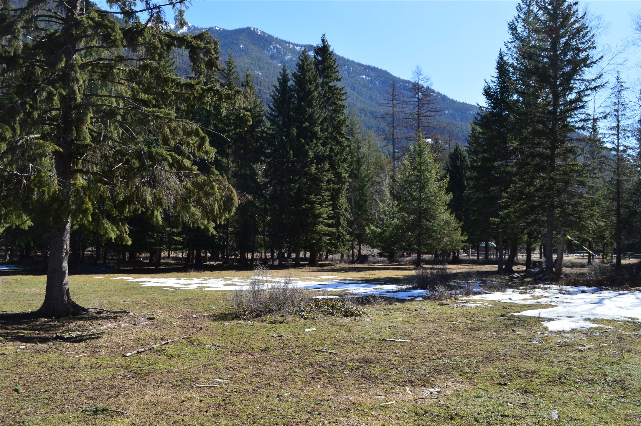 99 Sunrift Meadow Lane