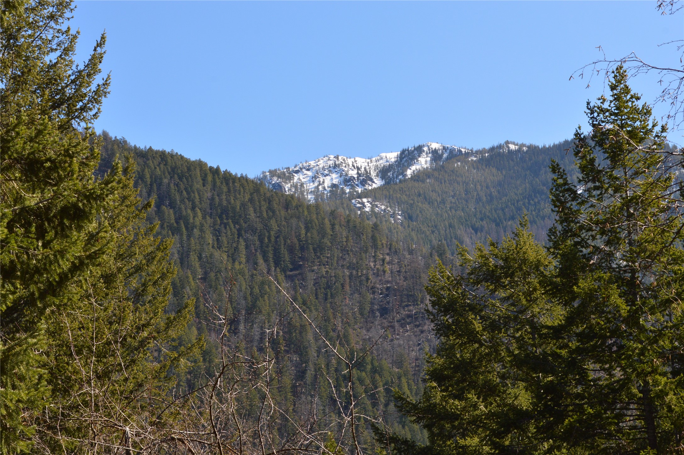 99 Sunrift Meadow Lane