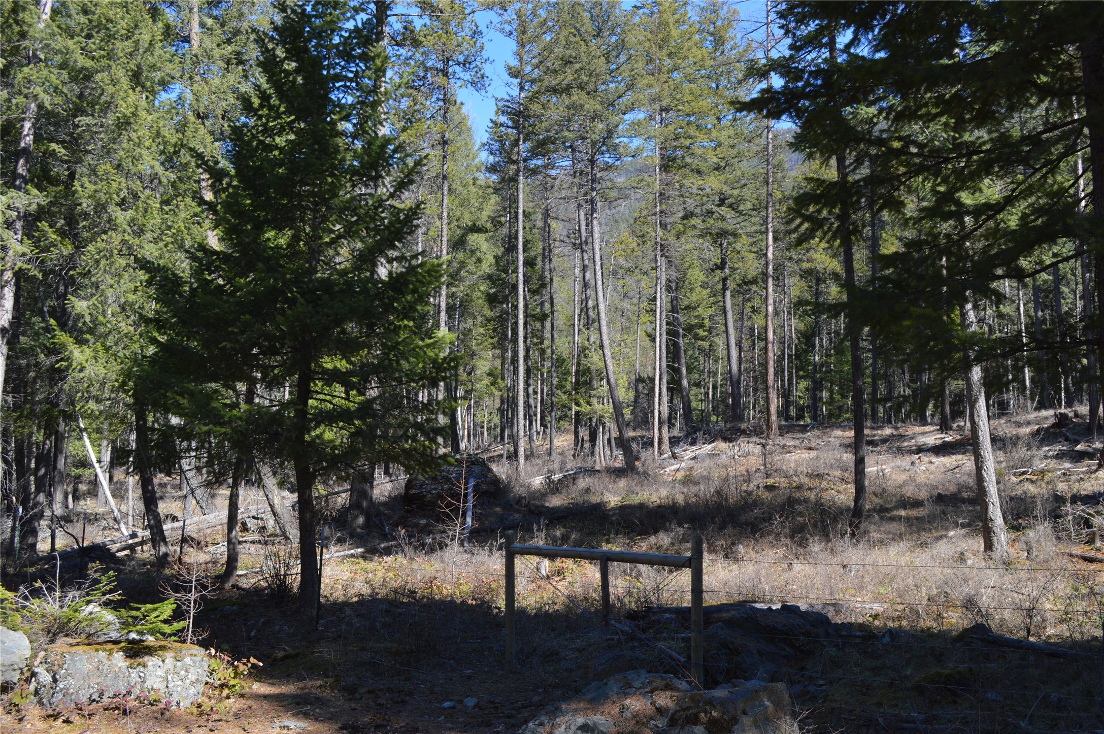 99 Sunrift Meadow Lane