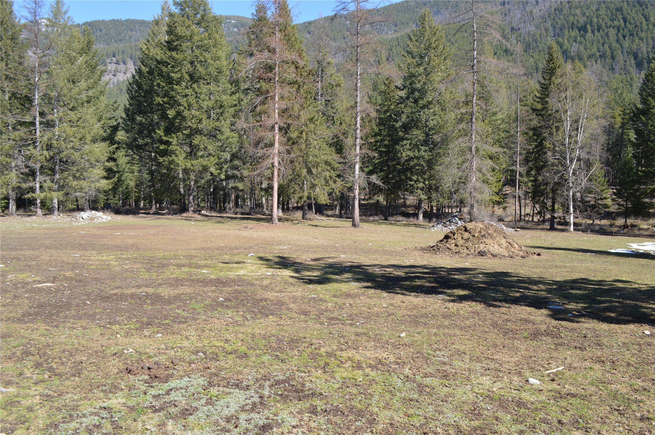 99 Sunrift Meadow Lane