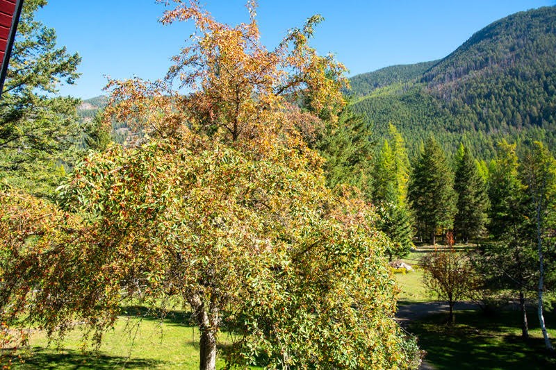 99 Sunrift Meadow Lane