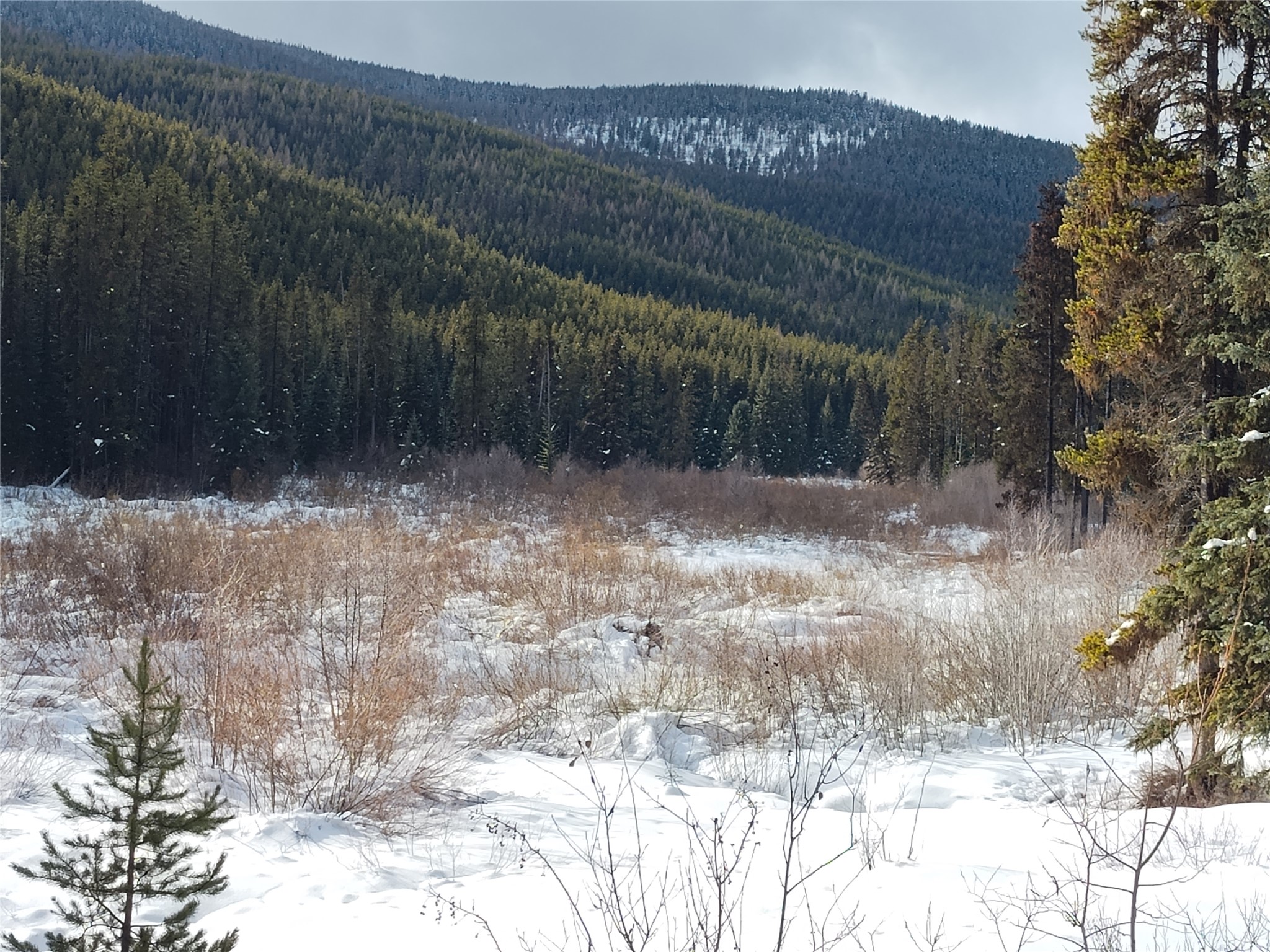 Lot 11 Good Creek Road