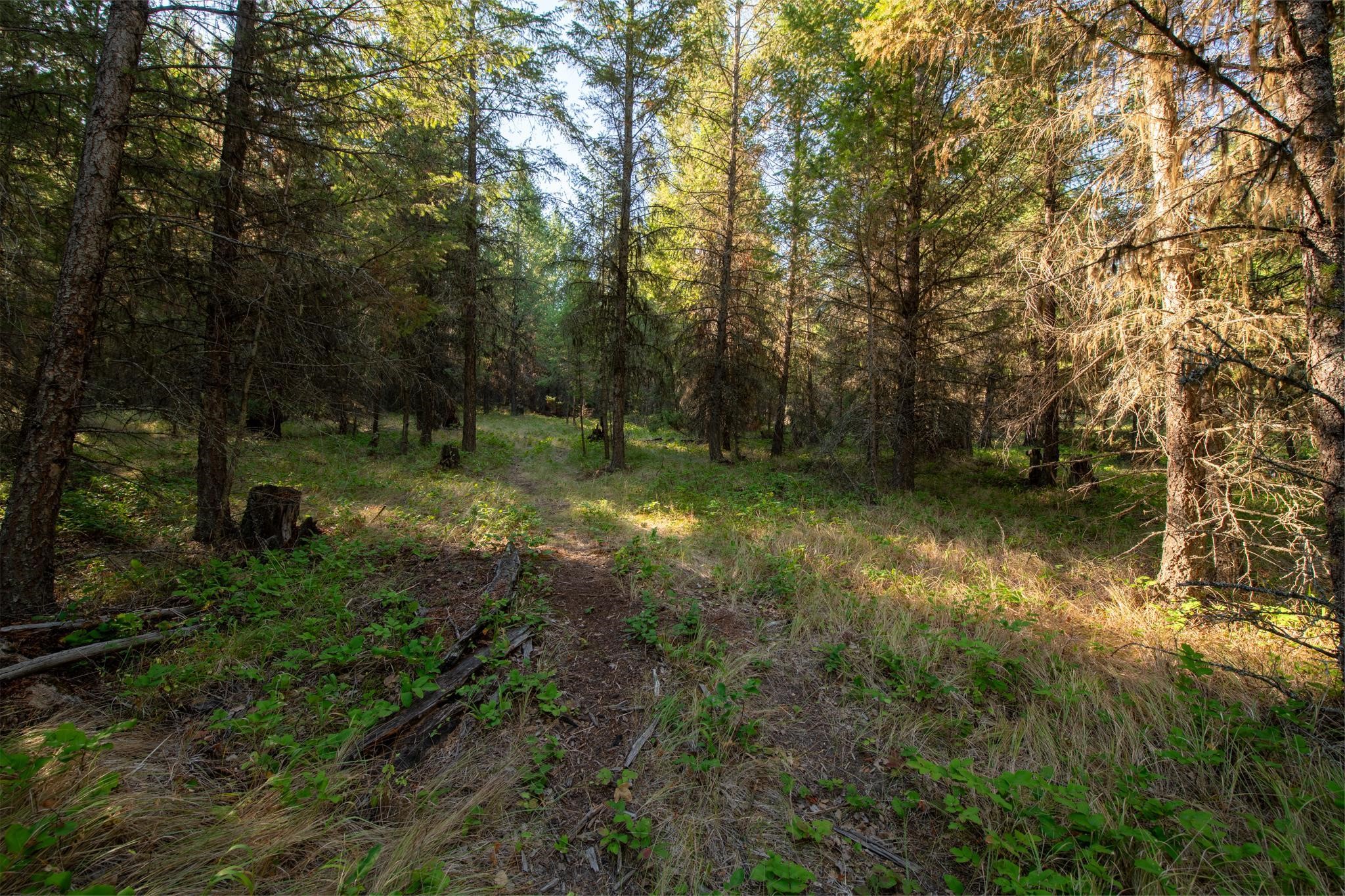 Lot 16 Evergreen Drive