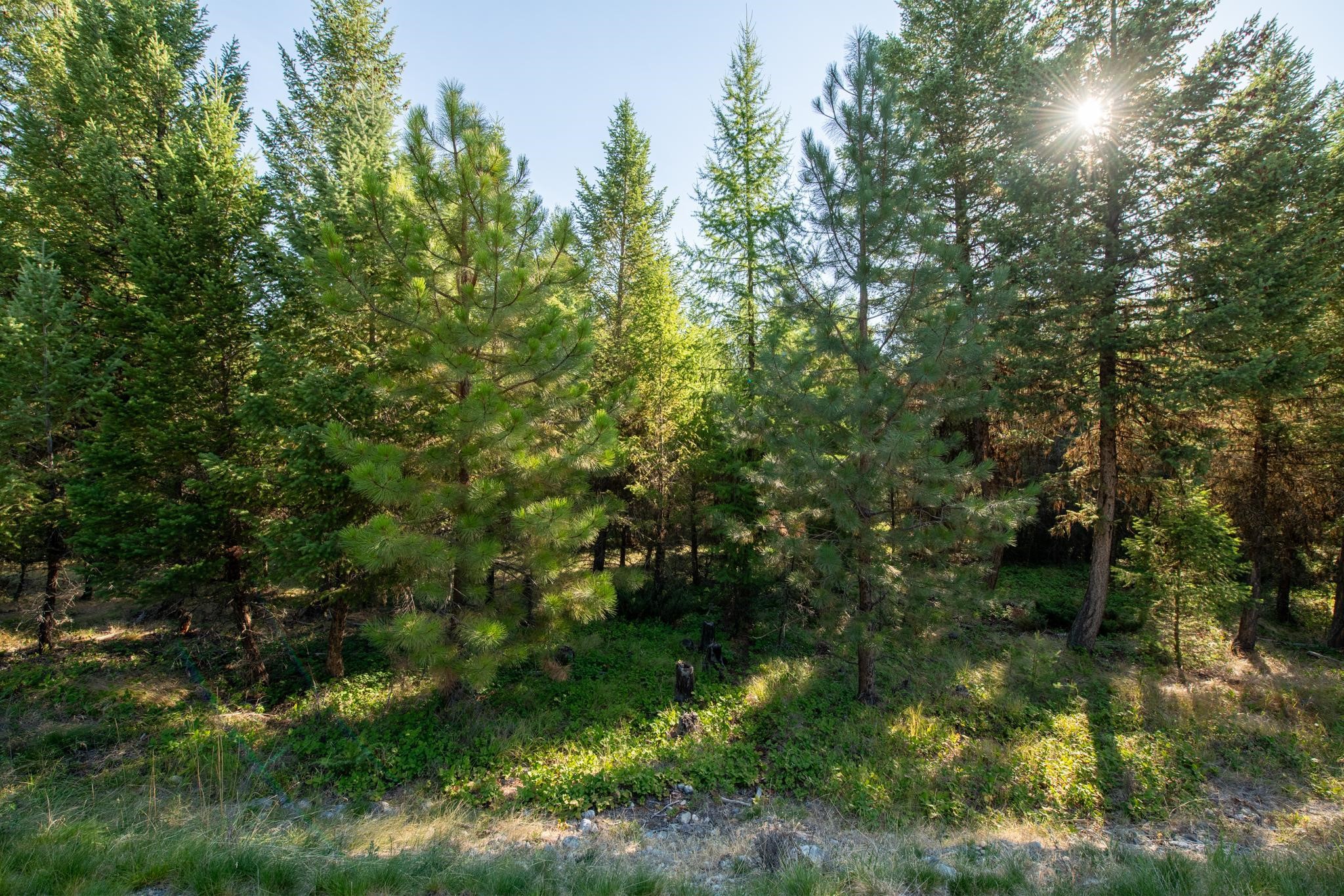 Lot 16 Evergreen Drive