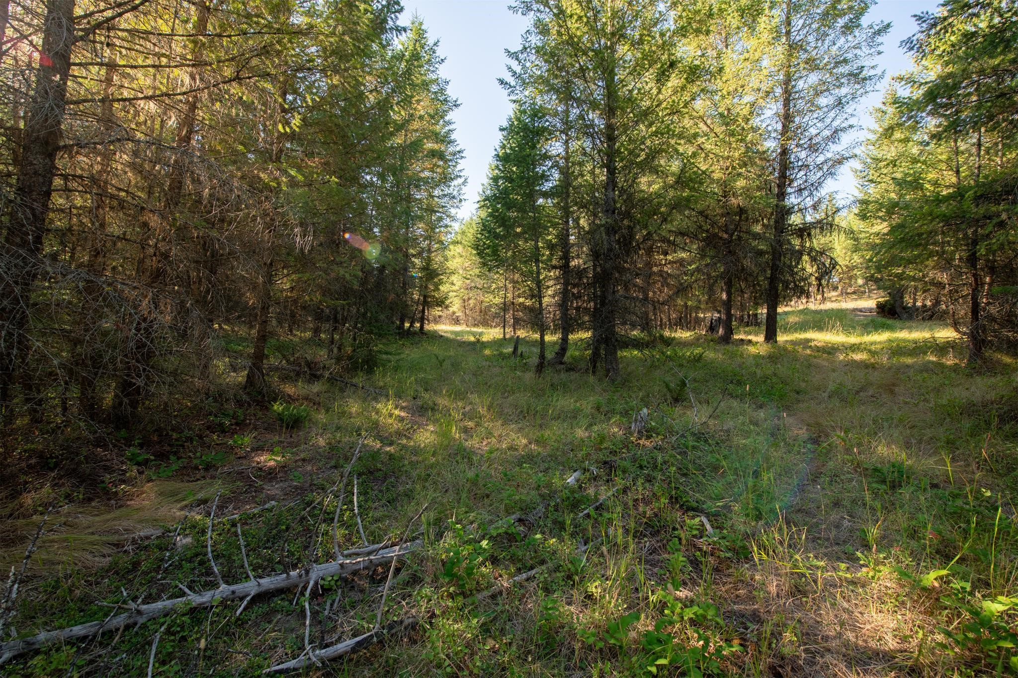 Lot 16 Evergreen Drive